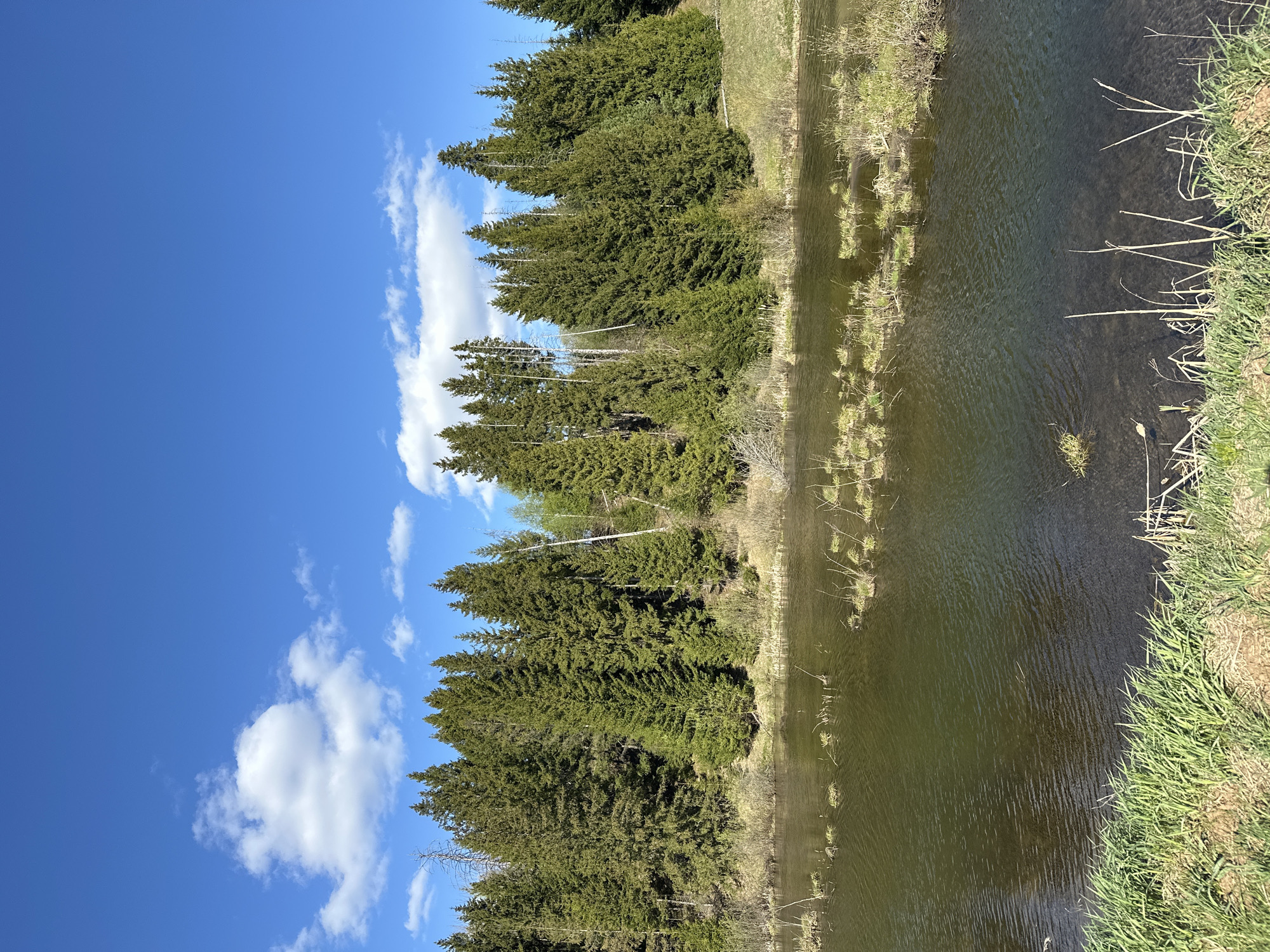 The image depicts a body of water, possibly a river or a long pond, bordered by a dense line of evergreen trees on one side and grass on the other. The sky is blue with scattered white clouds. The water is murky, with some vegetation visible along the edges. The scene suggests a rural or natural setting, but the specific location in Среднее Кечево, Russia, cannot be definitively confirmed from the image alone. No people, subjects, objects, or actions are explicitly shown in the image.