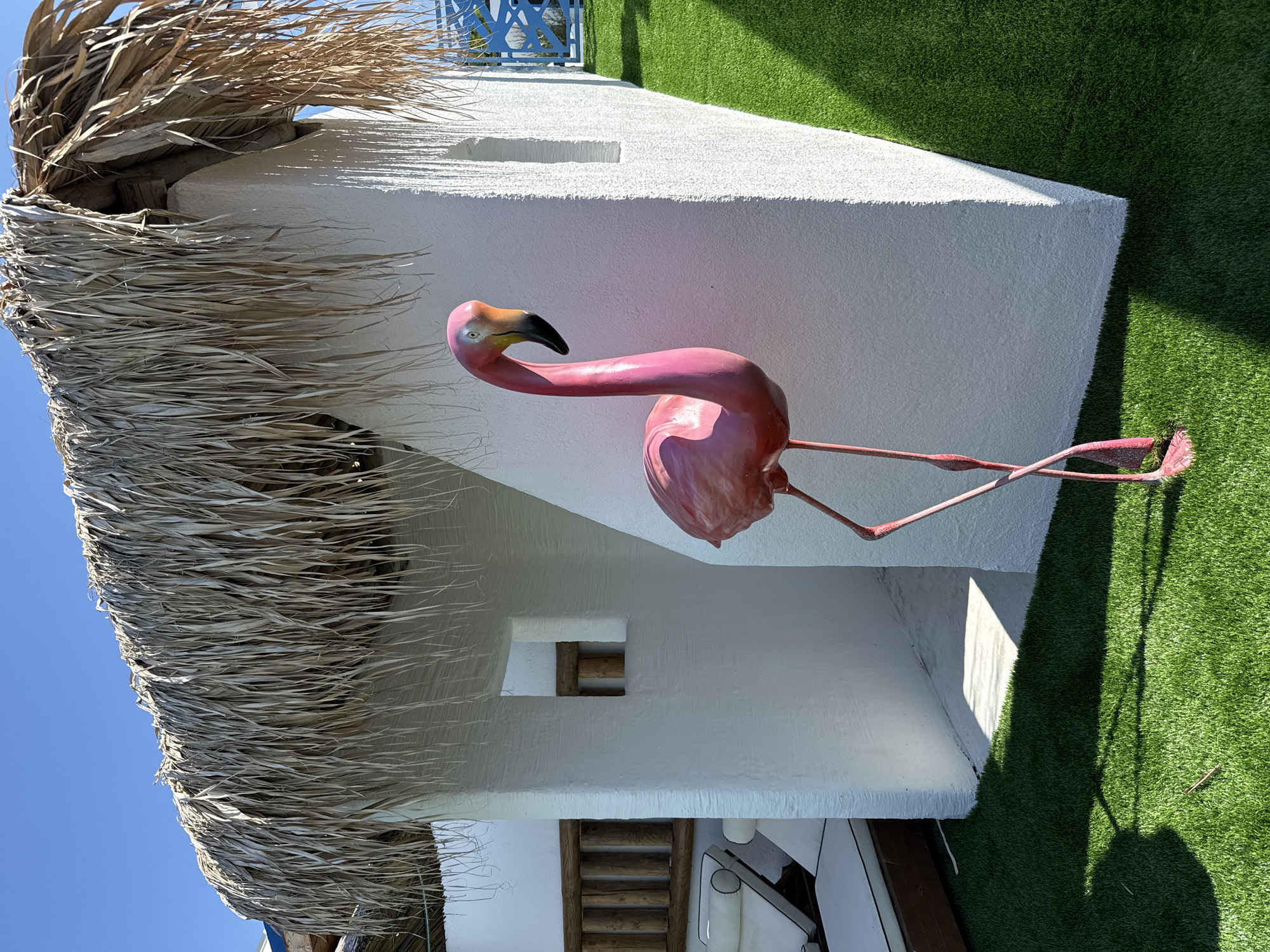 In Baliovtsi, Bulgaria, a pink flamingo statue stands on artificial turf in front of a white, textured building with a thatched roof. The building has two small, rectangular openings and a larger, arched entryway. To the left of the entryway, two white lounge chairs are visible. A wooden ladder-like structure is mounted on the wall to the left of the chairs. The scene is bathed in bright sunlight, casting shadows on the turf. The sky is a clear blue.