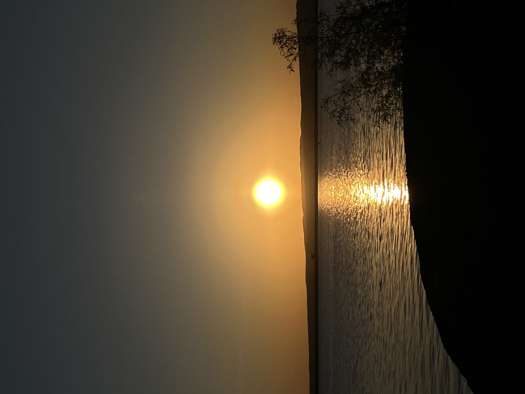 The image depicts a sunset scene at the Chaikovsky reservoir in Russia. The sun is positioned near the horizon, casting a golden glow across the sky and reflecting on the water's surface. To the right, the shoreline is visible, with some silhouetted trees and foliage. The light reflection on the water creates a shimmering effect. A dark, blurry object is on the right, in the foreground. The sky fades from a darker shade at the top left to a bright golden hue near the sun.