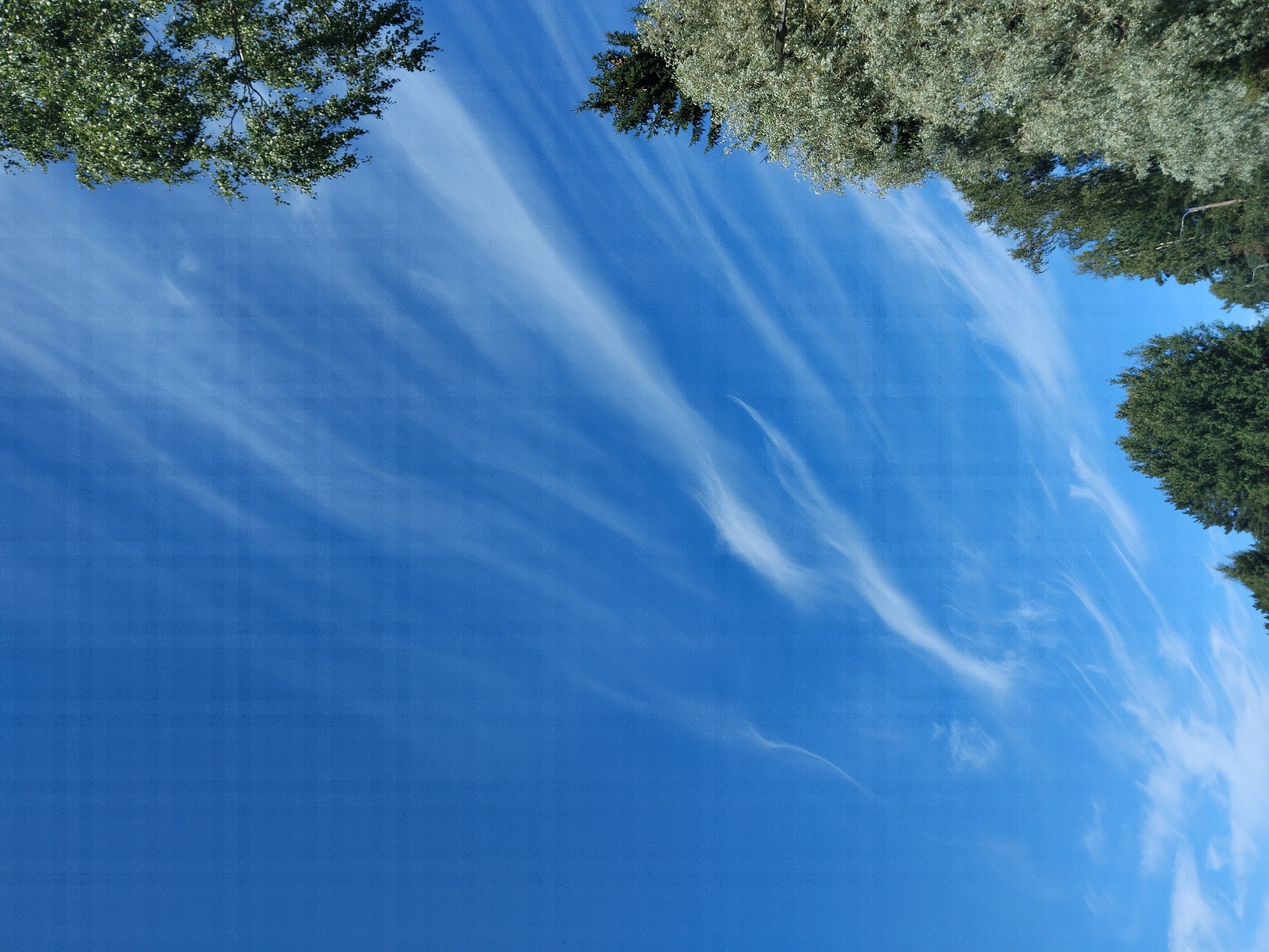 The image shows a clear blue sky with wispy cirrus clouds streaking across it. In the lower right and upper right corners of the frame, there are portions of trees with green foliage. The trees appear to be deciduous and coniferous. The overall scene depicts an outdoor environment, likely a park or natural area, under fair weather conditions. The location is identified as Pälkäne, Finland. There are no people or specific objects or actions visible in the image.