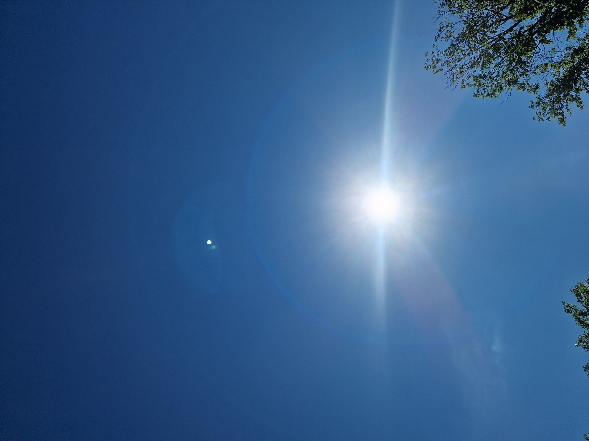The image shows a bright sun in a clear blue sky with lens flare. There is a faint halo around the sun and a small, white circular object higher up in the sky, possibly the moon or another celestial body. In the lower right corner, the upper branches of a deciduous tree with green leaves are visible against the sky. The image does not contain any information that would allow for the determination of its location in the city of Kursava, Russia.