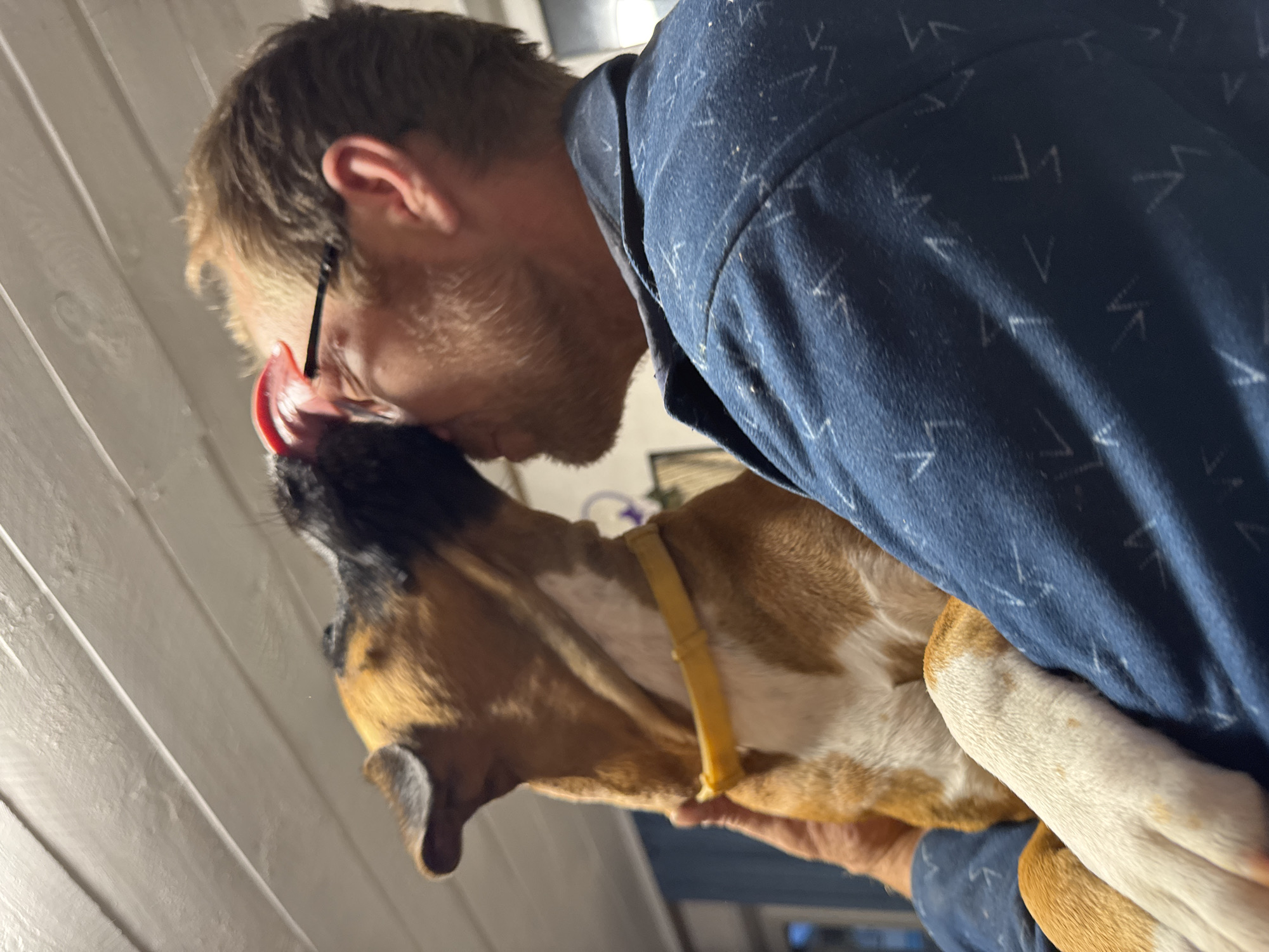 A medium shot shows a person holding a dog in their arms. The person is wearing a blue patterned shirt and has light-colored hair and a beard, with glasses on. The dog, with brown and white fur, is licking the person's face. The background appears to be indoors with a white wooden ceiling. The image is taken from a slightly upward angle. The location in Chaikovsky, Russia, is not discernible from the visual information.