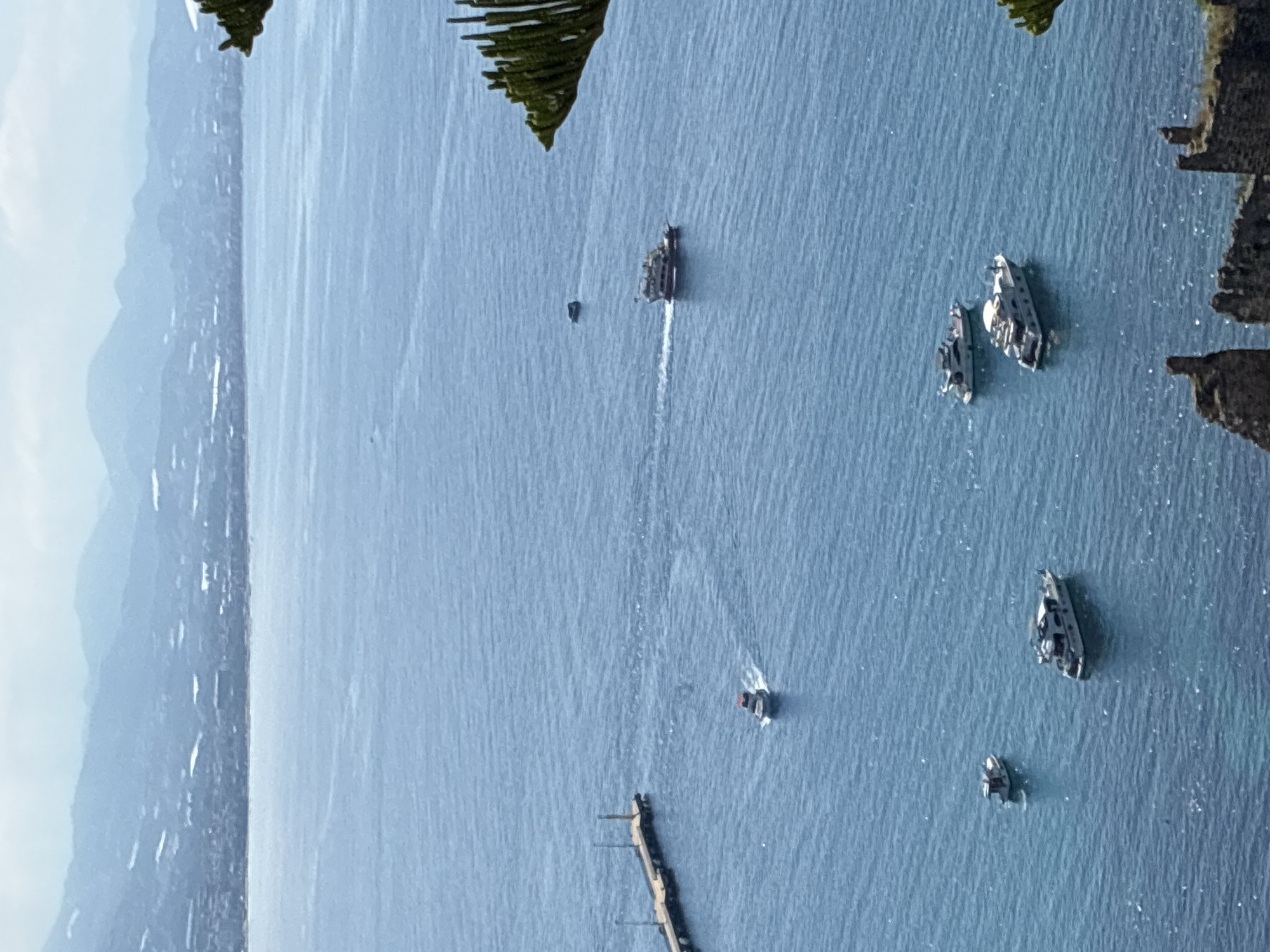 An elevated, wide-angle shot captures a serene coastal scene, likely off Alanya, Turkey. The expansive blue water of the sea dominates the foreground and middle ground, with a distant, hazy coastline of mountains and scattered buildings visible on the left horizon. The vantage point of the photographer is suggested by dark green foliage encroaching from the top corners, hinting at a cliffside or high-rise view.
Several boats and ships are dispersed across the water. In the upper-middle, a medium-sized vessel moves steadily, leaving a distinct white wake in its path. To the right, two white-hulled boats are observed; one appears larger, possibly a yacht or patrol boat with a visible superstructure, accompanied by a smaller craft. Another small, dark boat is situated further right. A long, dark pier or breakwater extends into the water from the bottom-left, with a small boat nearby.
The scene depicts a calm daytime, with bright, even lighting across the water, creating subtle sparkles on the surface. The weather appears clear with no visible clouds. No specific activities other than the boats navigating the waters are clearly discernible. There is no visible text in the image.