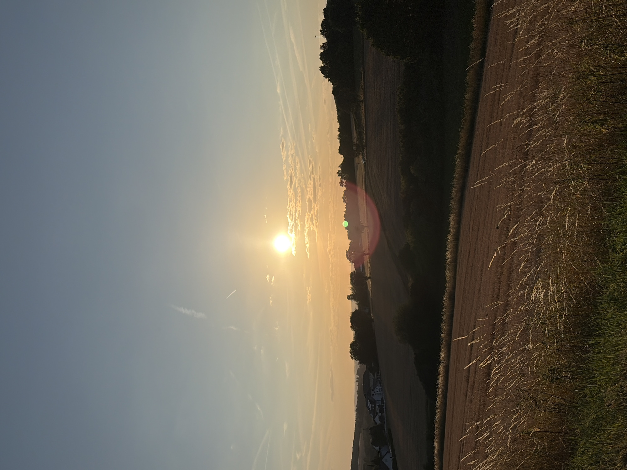 A wide-angle, vertical shot captures a sunset over a rural landscape with rolling hills and fields. The sun, a bright orb with a lens flare, is positioned slightly right of center in the upper half of the frame, casting a warm, golden light across the scene. Wispy clouds streak across the pale blue sky. In the middle ground, a village with white-roofed houses is nestled on a hillside. Beyond the village, a dark line of trees forms the horizon. The foreground is dominated by tall, dry grasses and weeds, their tips catching the last rays of sunlight. The overall atmosphere is peaceful and serene, depicting the end of a day in the countryside.
