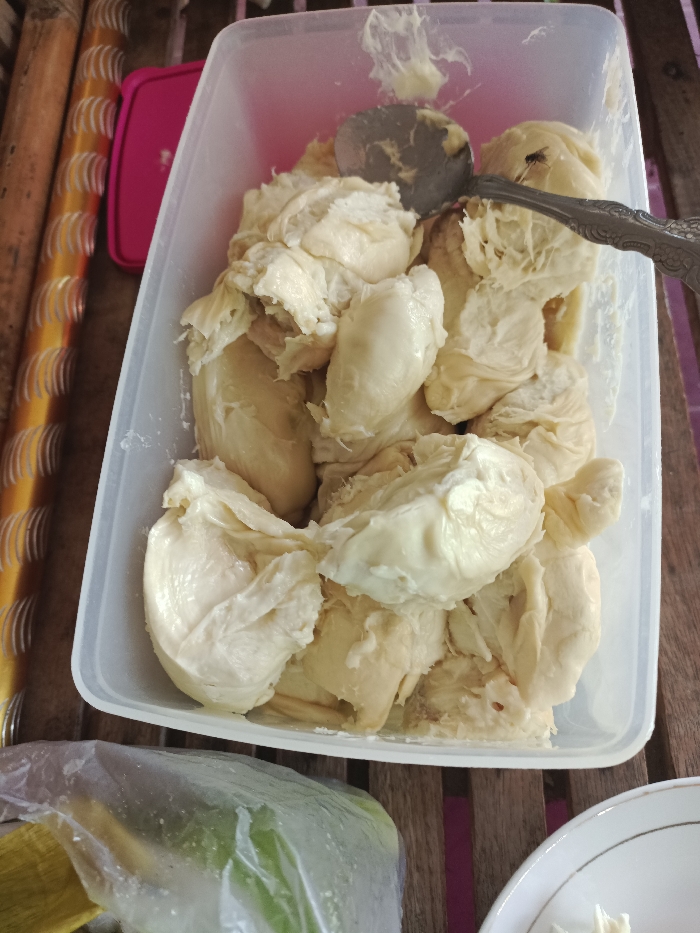 A high-angle forensic view depicts a rectangular, transparent plastic container filled with numerous irregular pieces of pale yellow to cream-colored durian fruit flesh. A silver-colored metal spoon with an ornate handle is partially submerged within the durian, extending from the upper right toward the center of the container. A single small black fly is present on a piece of durian near the spoon. The container rests on a light brown wooden slatted surface, consistent with a table. To the upper left of the container, a portion of a pink plastic lid is visible alongside a vertically striped, yellow-gold textured surface with a bamboo-like pattern. In the lower left foreground, a clear plastic bag containing green produce is partially visible. A white ceramic plate with a gold-colored rim is partially visible in the lower right foreground. The scene is located in Kruet Teumpeun, Indonesia.