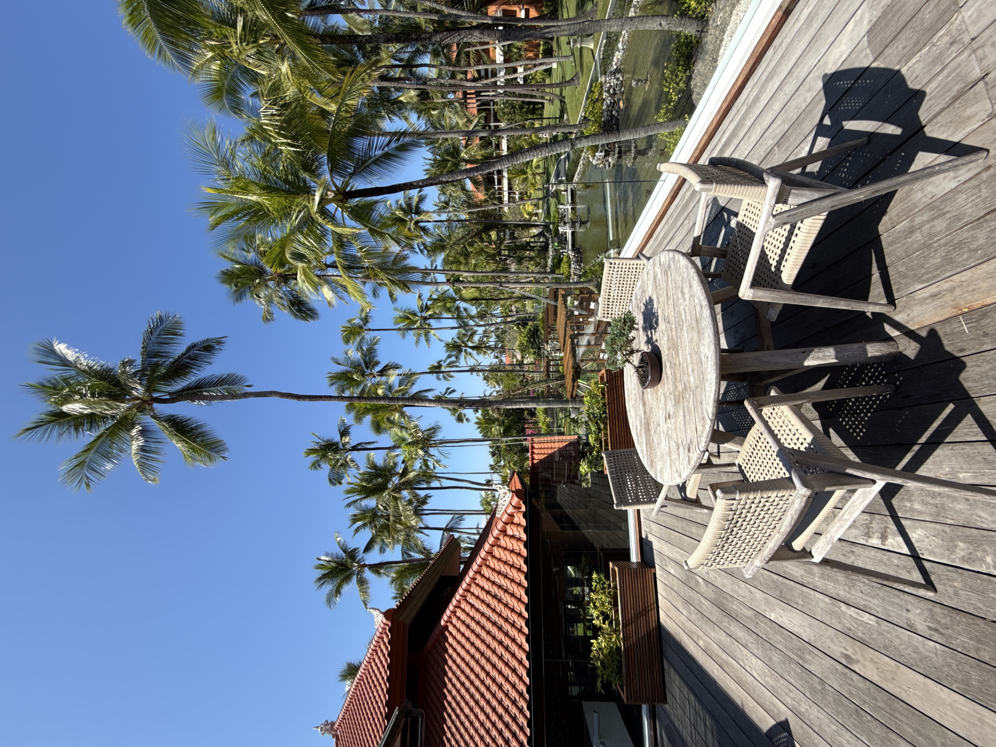 The image, when viewed in its correct landscape orientation (rotated 90 degrees counter-clockwise), displays a serene tropical outdoor setting. The scene is dominated by a weathered wooden deck that extends across the foreground and right side. On the deck, a circular wooden table holds a small potted plant, likely a bonsai. Three wooden chairs with woven seats are arranged around the table, casting long, sharp shadows, indicative of either morning or late afternoon sun.
Beyond the deck, a glass barrier or railing separates the seating area from a beautifully landscaped environment. A building with a distinct reddish-orange tiled roof is partially visible on the left side, hinting at traditional architecture. In the mid-ground, a calm body of water, possibly a pond or a narrow pool, features small water jets or fountains, surrounded by green foliage. The background is filled with numerous tall, slender palm trees, their fronds reaching towards a clear, vibrant blue sky.
The weather is bright and sunny, contributing to the tranquil and inviting atmosphere. The abundance of palm trees and the architectural style are consistent with a tropical location like Kuta Selatan, Indonesia, suggesting a resort, hotel, or private villa designed for relaxation. No people are visible, and there is no discernible text in the image. The scene evokes a sense of peace and tropical leisure.