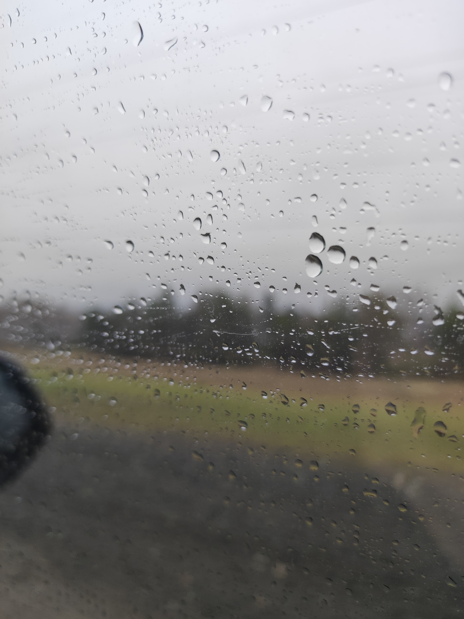 The image shows a rain-covered window. Outside the window, there is a blurred view of what appears to be a landscape, possibly a field or grassy area with trees in the background under a cloudy sky. A portion of a dark object, likely a car side mirror, is visible in the lower left corner of the frame. It is not possible to discern if the location is in Noviy, Russia.