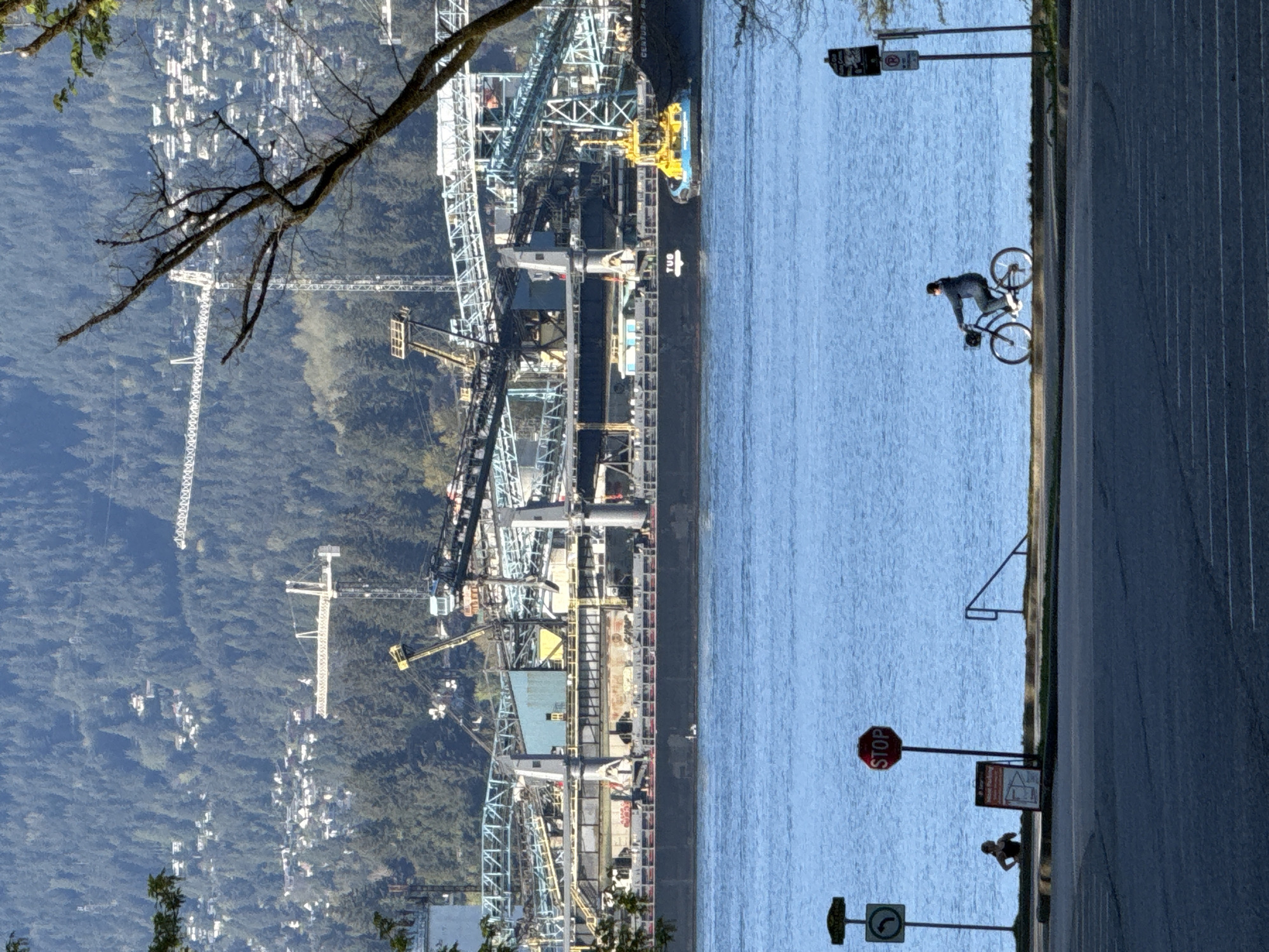 The image shows a port and waterway in Vancouver, Canada. A large cargo ship, possibly a bulk carrier, is docked along the waterway, with numerous cranes and industrial structures surrounding it. On the right of the image, a person rides a bicycle along a road. There are street signs visible, including a stop sign. A second individual is seen near the side of the road. In the background, across the waterway, lies a densely populated area covered in trees. There are also construction cranes amongst the trees. A dead tree branch is visible at the top left of the image.