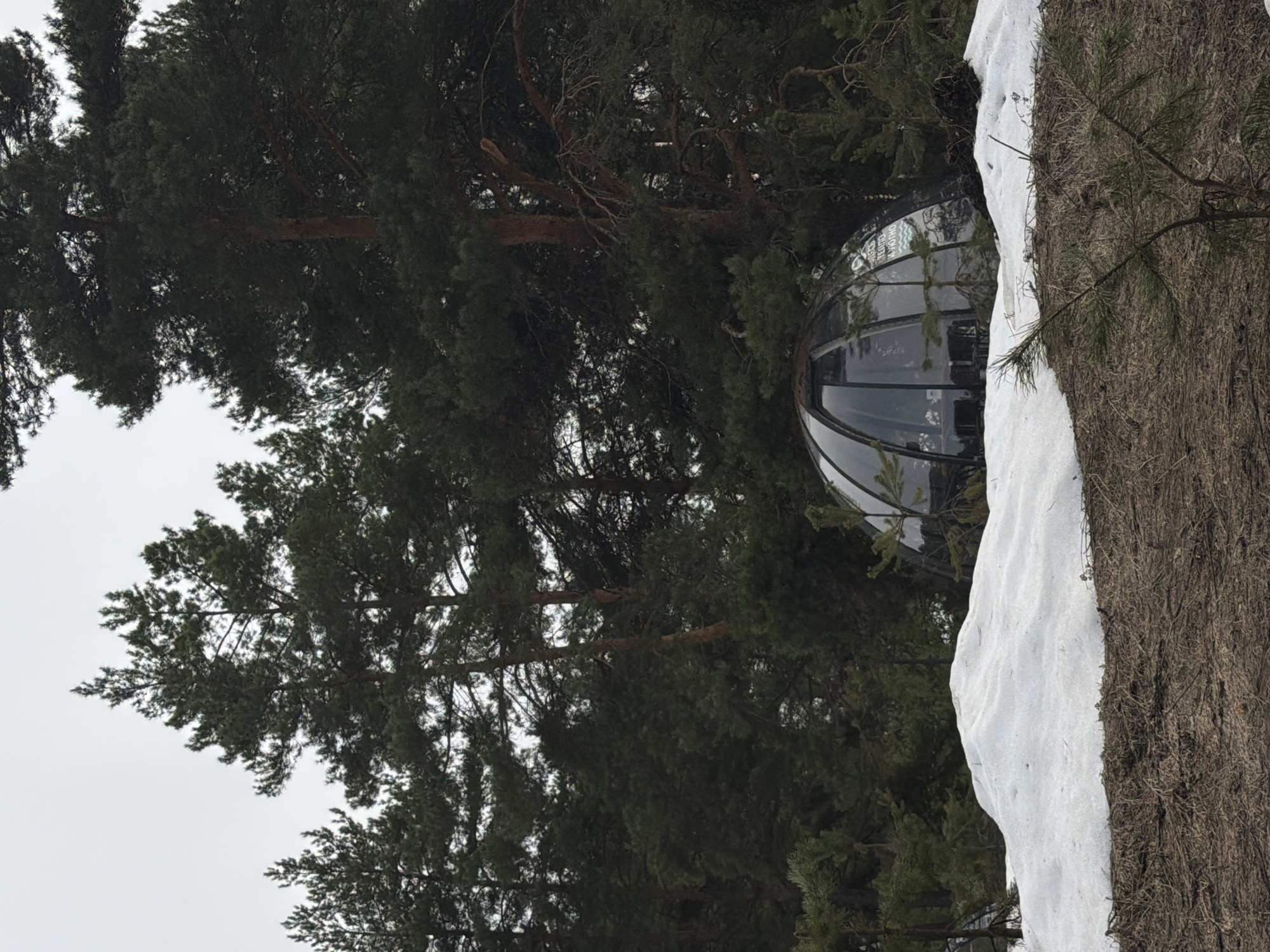 The image depicts a partially snow-covered structure situated amongst trees, specifically in Izhevsk, Russia. The structure appears to be a geodesic dome or a similar type of architectural design featuring a hemispherical shape with a segmented window pattern. A layer of snow covers the edge of a raised area, possibly a building or a hill, located to the right of the dome. The foreground and background are densely filled with pine trees and other vegetation. The sky is overcast, suggesting a winter or a generally cloudy day.