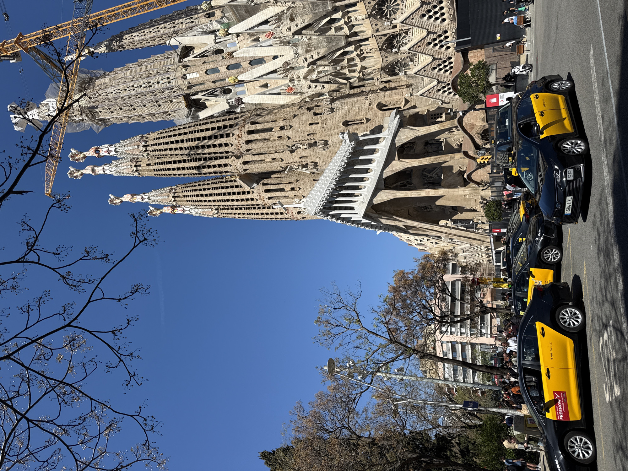 The image shows the Sagrada Familia in Barcelona, Spain, partially obscured by leafless tree branches in the foreground. The basilica’s towers rise against a clear blue sky, with construction cranes visible near the top of the tallest spire. A queue of black and yellow taxis is parked along the street in front of the basilica, and people are seen walking along the sidewalk. Buildings can be seen partially obscured by trees behind the Sagrada Familia.