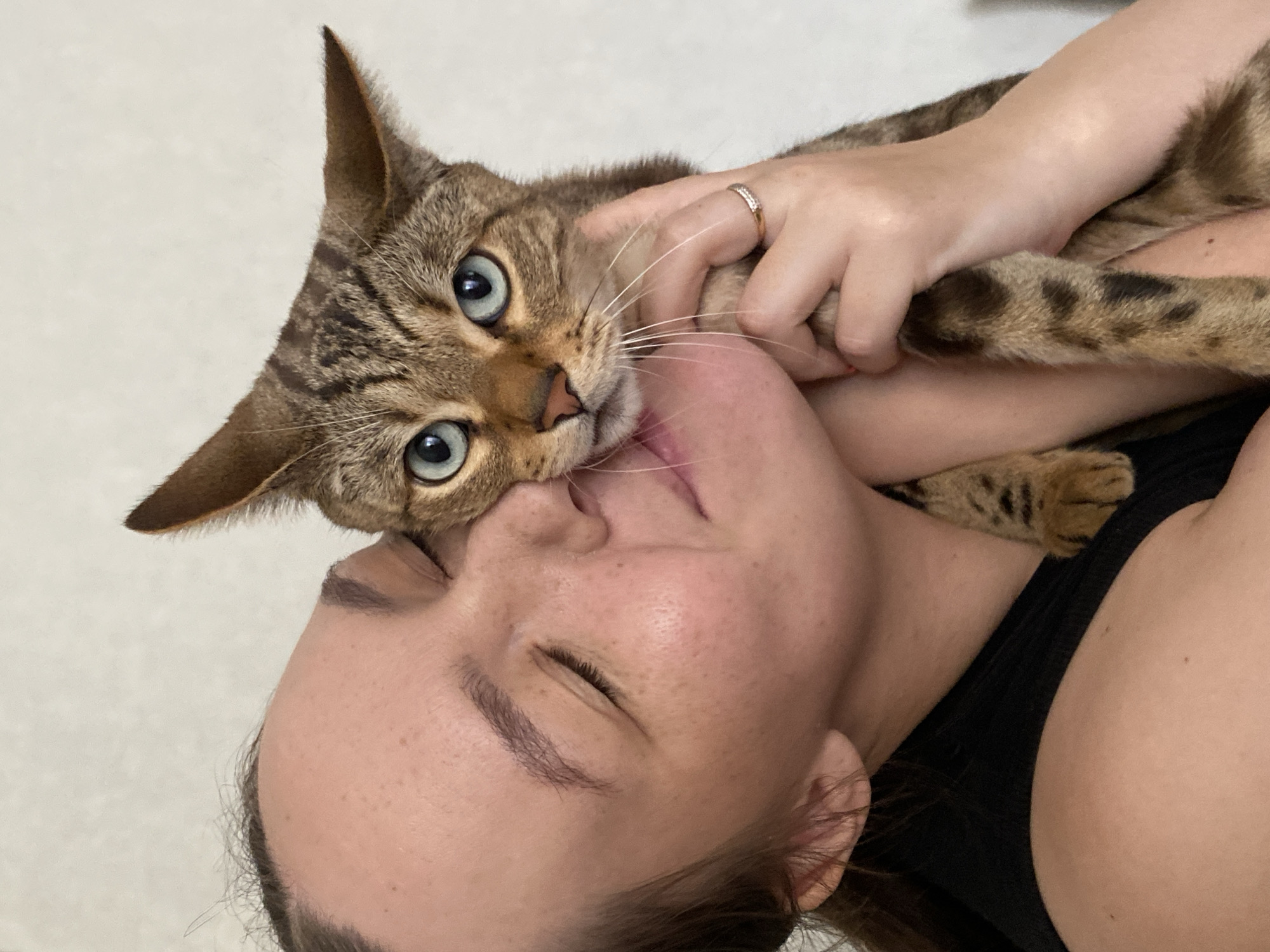 A medium close-up shot shows a young woman with her eyes closed, nuzzling her tabby cat. The woman has fair skin with freckles and her dark hair is pulled back. She is wearing a black top. The cat, with striking blue eyes and tabby markings, is being held close to the woman's face. One of the woman's hands is visible, wearing a ring on her finger, gently holding the cat. The background is a plain, light-colored wall. The image does not contain any recognizable landmarks or elements that would indicate a specific location in Chaikovsky, Russia.
