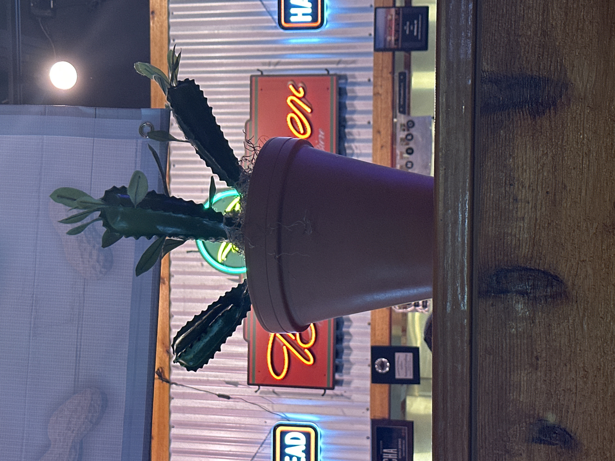 An artificial cactus plant in a brown pot sits on a wooden surface, with a corrugated metal wall and neon signs in the background. The neon signs display the words "DEAD," "HEINEKEN," and "HA." The overall scene suggests an indoor setting, possibly a bar or restaurant. The image was taken in Matthews, North Carolina, United States of America.