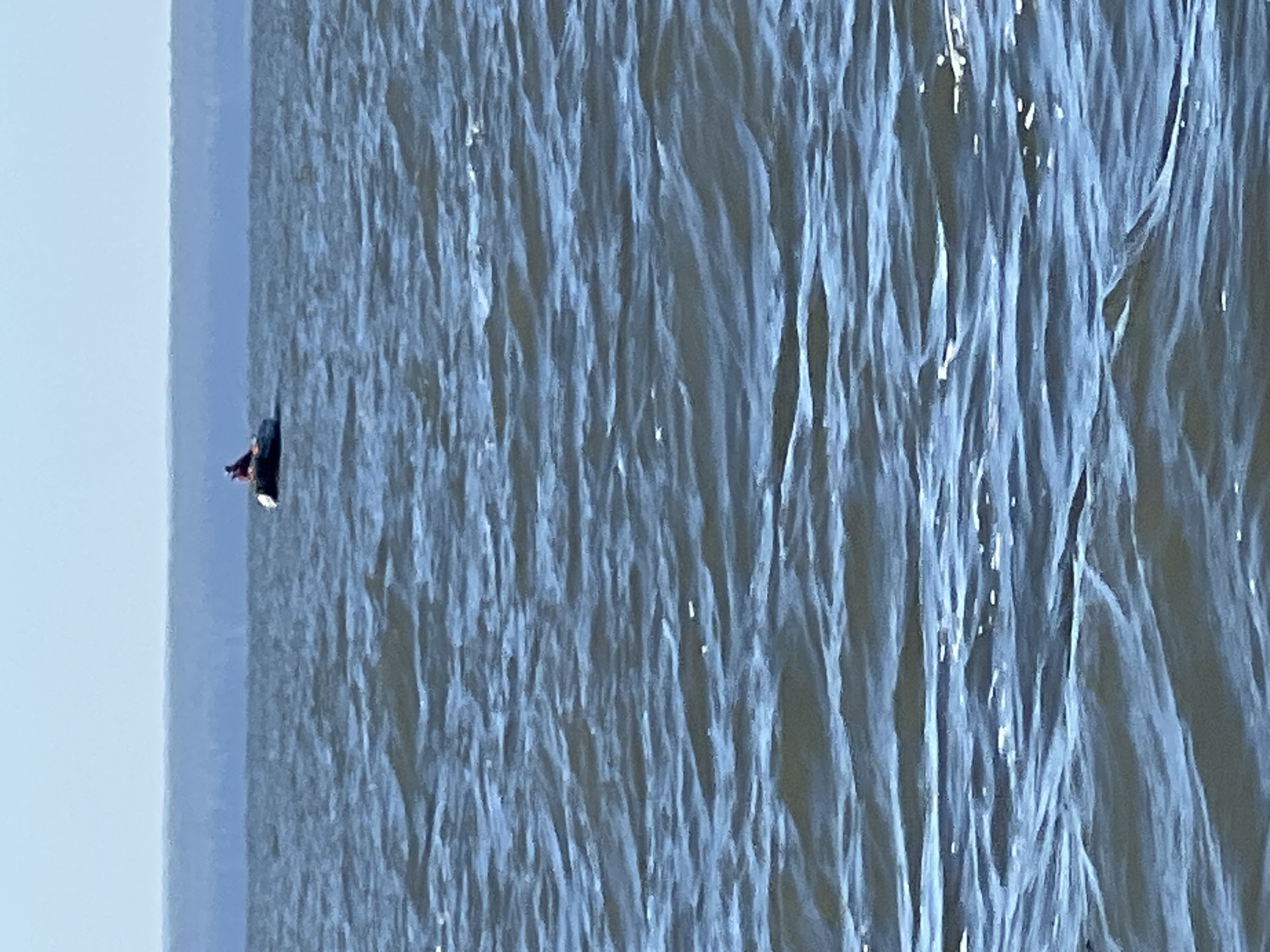 A person is sitting in a small boat on a body of water. The boat is dark in color and the person is wearing red clothing. The water is choppy with small waves. In the background, there is a hazy horizon line, suggesting land or a larger body of water. The sky is clear and blue. The scene appears to be set outdoors in a natural environment.