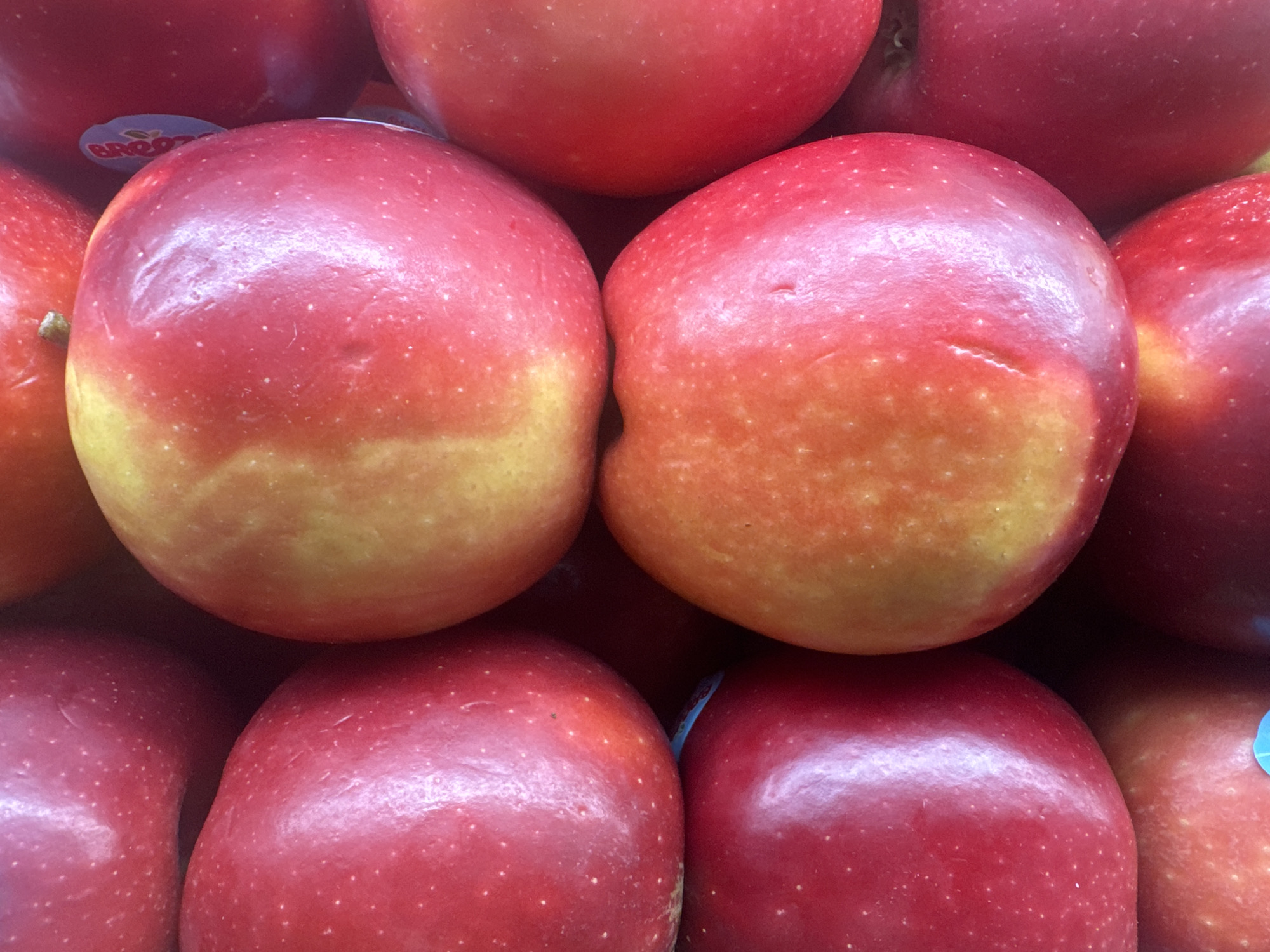 A close-up, overhead shot shows a pile of bright red apples, some with yellow and orange undertones, packed tightly together. A small, blue and white sticker with "Bao Loc" is visible on one of the apples. The lighting is bright, highlighting the waxy sheen of the fruit. The apples are densely packed, suggesting a market stall or grocery display. The background is dark and indistinct, focusing all attention on the fruit. The scene appears to be an indoor setting, likely a market or shop in Bac Nha Trang Ward, Vietnam, given the presence of the "Bao Loc" sticker, a brand often associated with Vietnamese agriculture.
