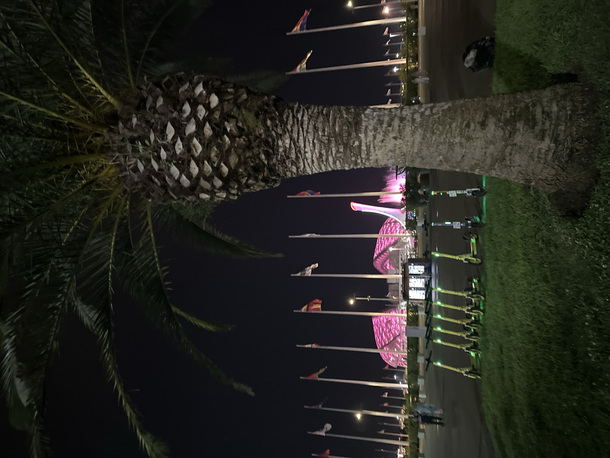 At night in Sirius, Russia, a prominent palm tree trunk is captured in the foreground, its textured bark taking up a significant portion of the frame. Behind the tree, a line of brightly lit, yellow and green electric scooters are parked on a grassy area. In the mid-ground, a row of national flags on poles extends across the scene, silhouetted against a dark sky. Further in the background, a large, modern stadium or arena with pink, illuminated architectural elements is visible, along with a tall, white fountain structure spewing pink water. A few indistinct figures are walking in the distance. The overall environment appears to be an outdoor public space, possibly a plaza or promenade, near a sports or entertainment venue.