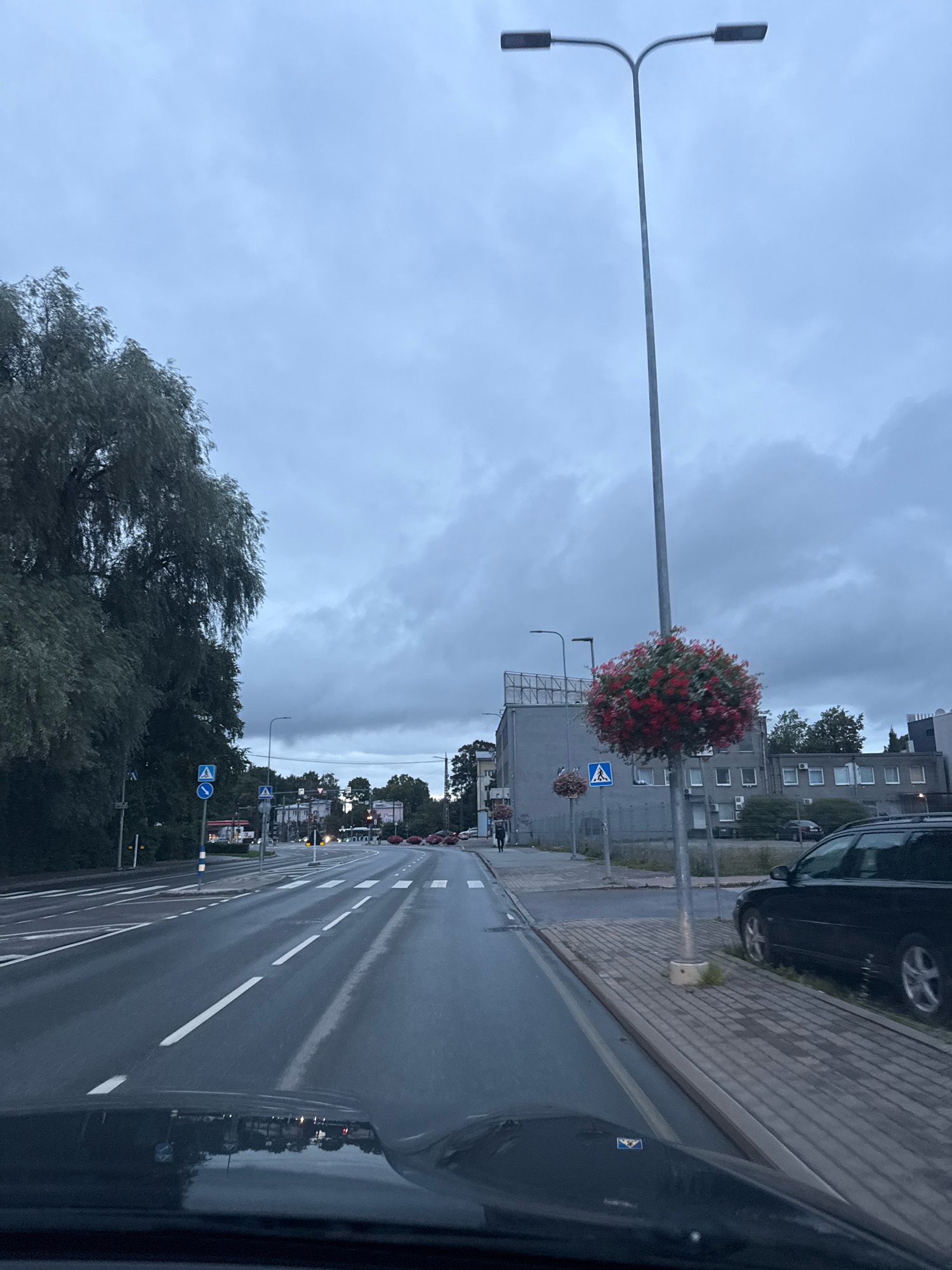 The image shows a view from inside a vehicle driving on a wet, asphalt road in Tallinn, Estonia. The sky is overcast with grey clouds. On the left side of the road, a large tree with dense foliage is visible, and further down the road, pedestrian crossing signs and traffic lights are present. In the center of the image, a street lamp with two lights stands tall, and a decorative spherical planter with red flowers is attached to its pole. Across the road, there are multi-story buildings with windows, and a black station wagon is parked on a paved area next to the sidewalk. The road itself has clear lane markings and several white-striped pedestrian crossings. The overall scene depicts a typical urban street during cloudy weather, likely in the evening or early morning.