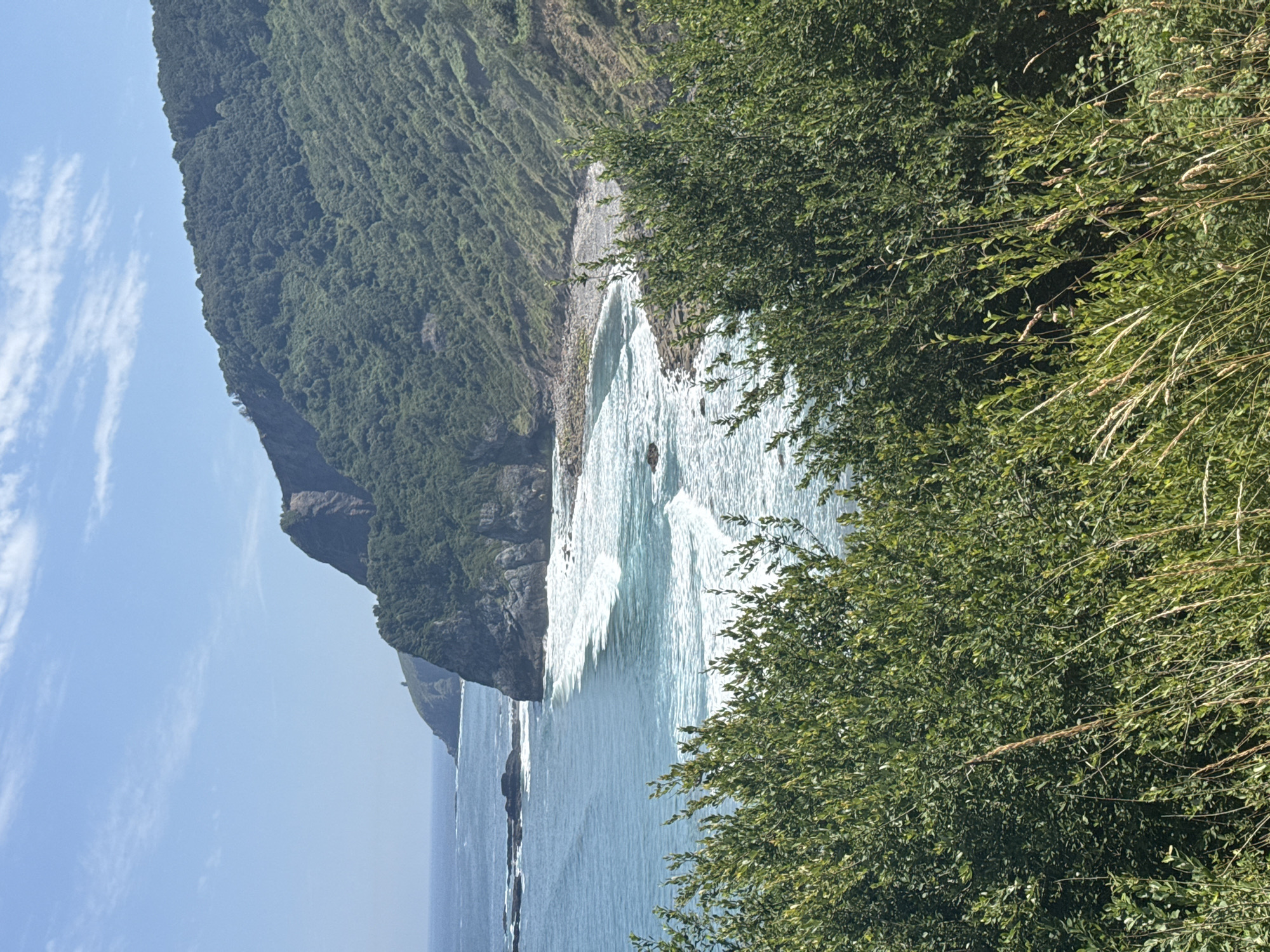 The image captures a coastal landscape in the vicinity of Bermeo, Spain, on a clear, sunny day. The foreground is dominated by lush, green vegetation, including bushes and tall grasses, which partially obscure the view of the ocean and cliffs beyond. The middle ground features the rugged coastline with a rocky beach meeting the turquoise sea. Waves are seen crashing onto the shore, creating white foam and surf. Further in the distance, steep, tree-covered cliffs rise dramatically, their slopes dotted with foliage. The sea extends to the horizon under a bright blue sky with scattered white clouds. The overall scene is one of natural beauty and coastal serenity.