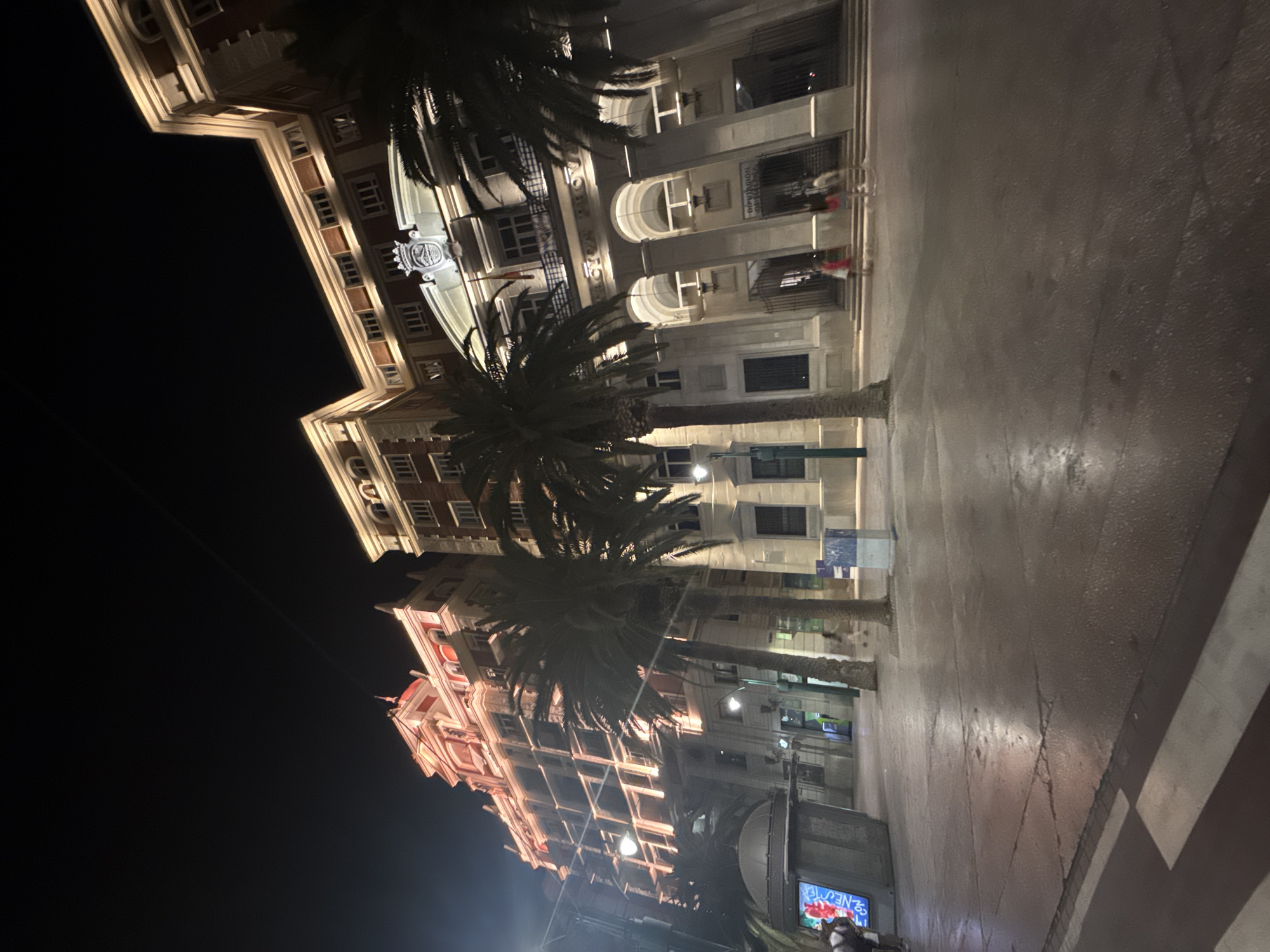 The image depicts a street scene at night in Málaga, Spain. The scene is dominated by the illuminated facades of several buildings, featuring ornate architecture with arched windows and decorative elements. Palm trees are scattered throughout the foreground and midground, their fronds silhouetted against the night sky and building lights.
The perspective is from a low angle, looking upwards at the buildings. The street in the foreground appears wet, suggesting recent rain or street cleaning. Streetlights cast a warm glow on the pavement. Several figures, appearing as blurred shapes due to the low light and movement, are visible walking along the sidewalk and near the building entrances. One building in the background has a sign that reads "DIPUTACIÓN PROVINCIAL DE MÁLAGA," indicating the Provincial Council of Málaga. Another sign in the lower right corner of the image displays text in what appears to be Spanish, with "NEO" visible, possibly part of a business name or advertisement. The overall atmosphere is one of a lively urban environment at night, with the architecture and palm trees characteristic of a Mediterranean city.