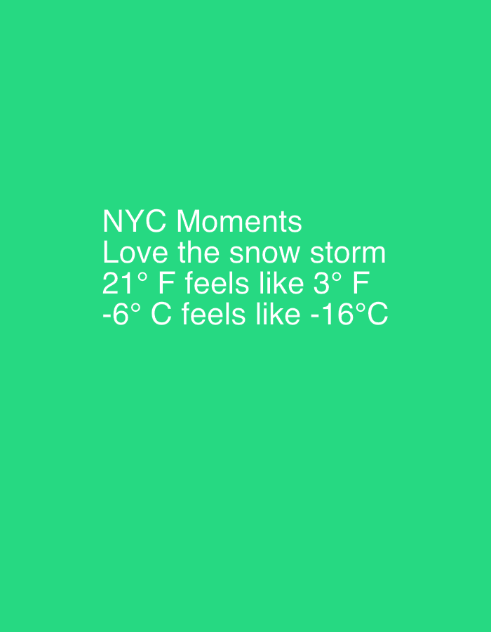 The image displays white text on a green background, conveying a message about a snow storm in New York City. It reads "NYC Moments Love the snow storm" followed by the perceived temperature in both Fahrenheit and Celsius. It states "21° F feels like 3° F" and "-6° C feels like -16°C," illustrating the effect of wind chill on the actual temperature.