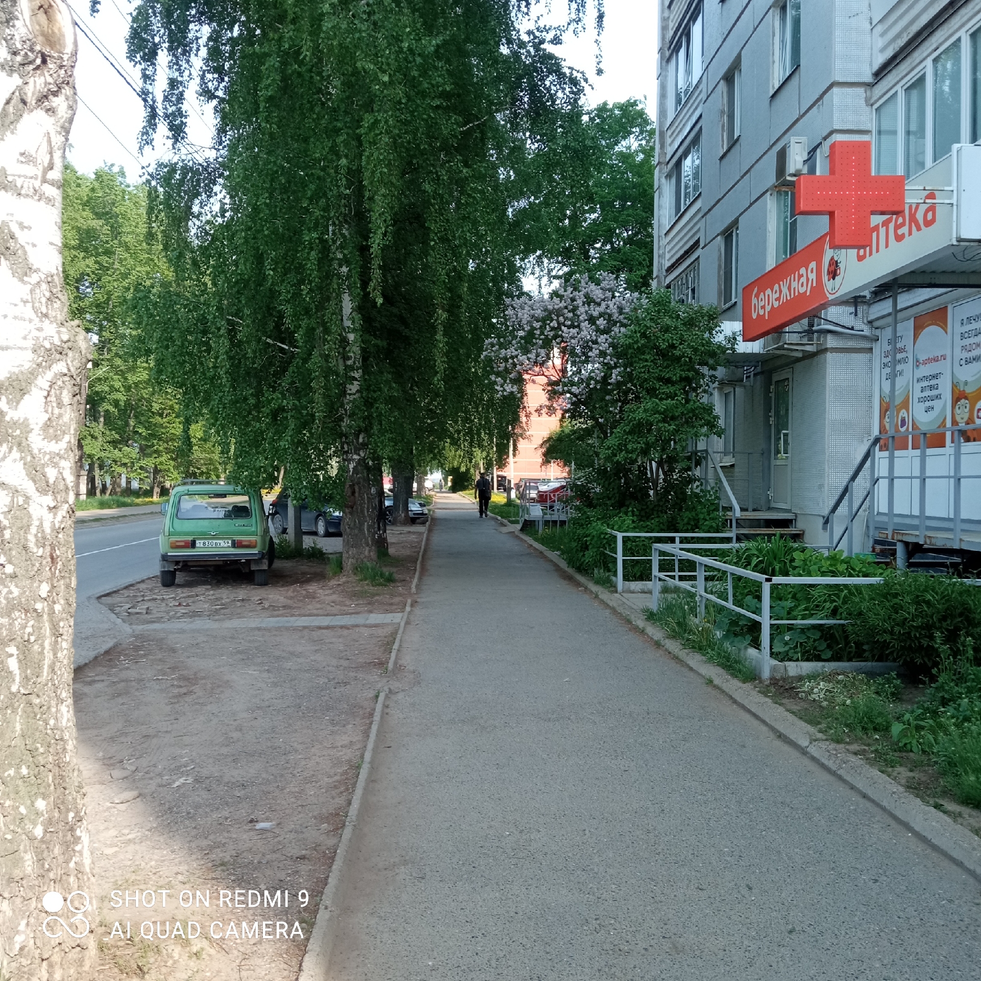 The image depicts a sidewalk in the city of Chaikovsky, Russia. A paved walkway extends from the foreground into the distance, lined on the left by birch trees and a road with parked cars, including a green Lada Niva. On the right, a building with a pharmacy ("аптека") is visible, indicated by a red cross and the name "бережная аптека." A person is walking on the sidewalk towards the distance. The photo was taken using a Redmi 9 AI Quad Camera.