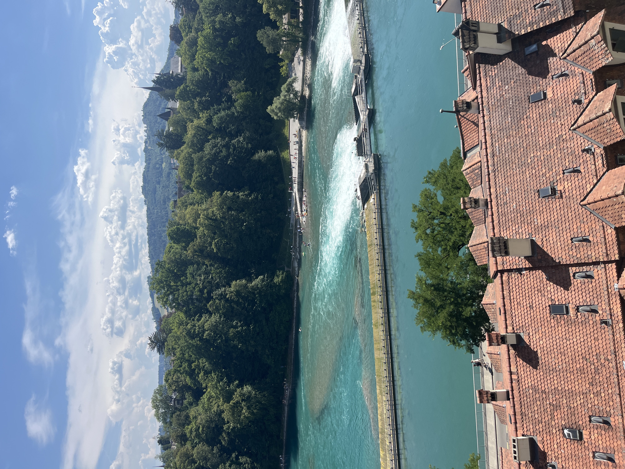 This is an aerial view of a river flowing through a city, likely Bern, Switzerland, given the architectural style of the buildings and the lush green hills in the background. The river is a striking turquoise color, with a section featuring whitewater rapids. A barrier or dam structure spans across the river, with a bridge or walkway on top. On the riverbanks, there are people enjoying the water, with some swimming and others relaxing on the shore. Behind the river, a dense forest covers rolling hills, and in the distance, several church spires and buildings are visible among the trees. In the foreground, the terracotta tiled roofs of older buildings dominate the scene, with chimneys and skylights dotting their surfaces. The sky is blue with scattered white clouds.