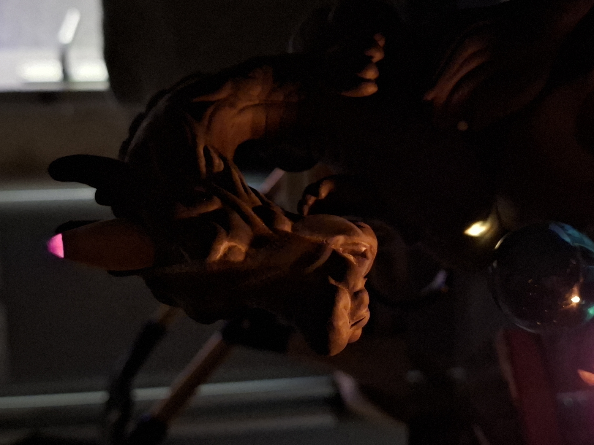 A close-up image shows a dragon-shaped sculpture or ornament illuminated with warm light, possibly a candle or an artificial light source that emits a pink glow at the tip of its snout. The rest of the sculpture appears to be bronze or a similar material, capturing the detailed texture of the dragon's head and neck. The sculpture is partially in shadow, with some parts more illuminated than others. In the background, there are hints of the surroundings, which include what appears to be a reflective glass orb and obscured shapes, suggesting an indoor setting. Given the presence of the dragon sculpture, which is a recognizable feature often associated with decorations or landmarks, it's possible that this is located in a public area of Novi Sad, Serbia, but without more context, pinpointing the exact location is challenging. The image focuses on the sculpture, highlighting its intricate design and the interplay of light and shadow.