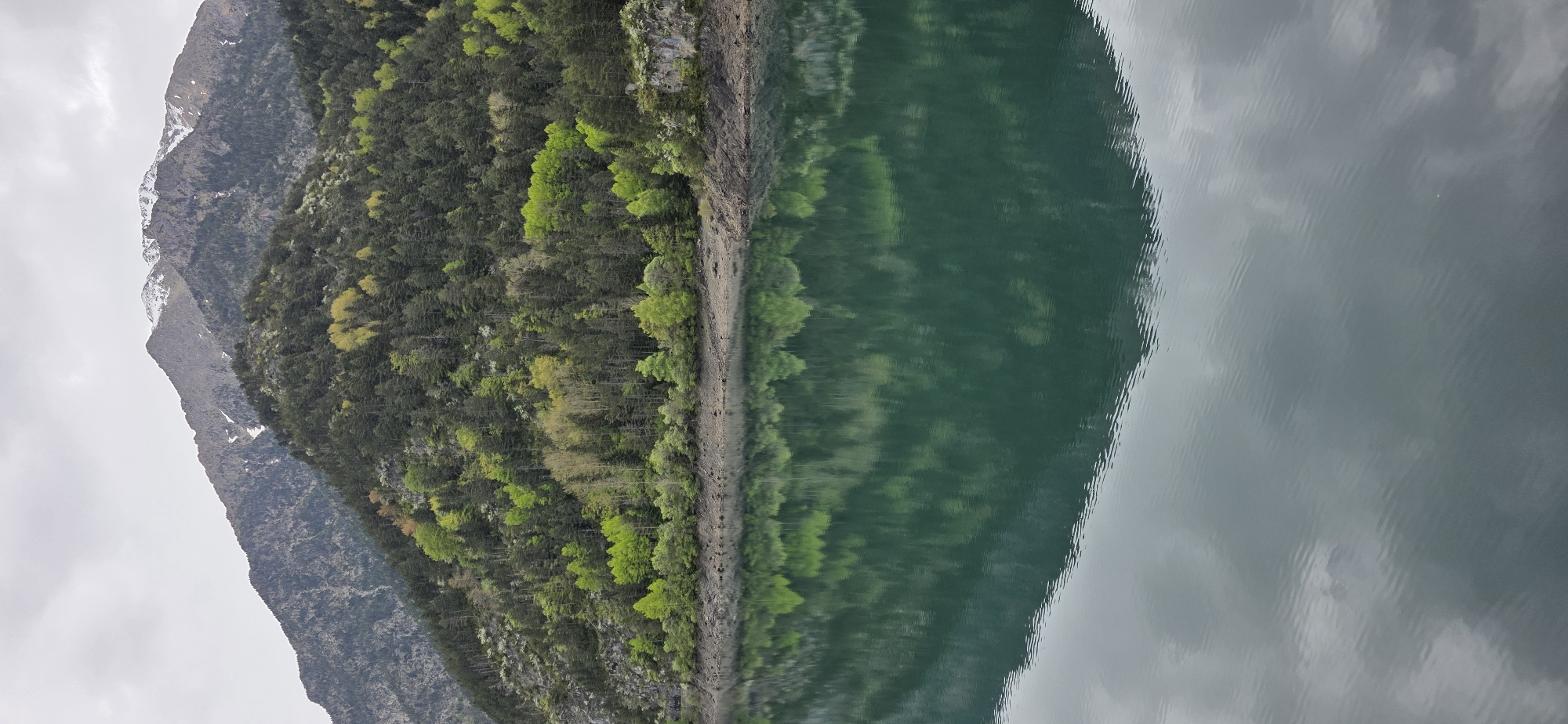 Here's a description of the image:
The image shows a mountain range and its reflection in a lake. The mountain range is located in Benasque, Spain. The left part of the image features a rocky mountain, with some snow near the top. A dense forest covers the lower slopes of the mountain. The shoreline is visible, with trees lining the edge where the forest meets the lake. The right portion of the image depicts the reflection of the mountain, forest, and sky in the calm water of the lake. The reflection gives the water a slightly rippled and blurred appearance. The sky is overcast, creating a muted and diffuse lighting condition in the scene.
