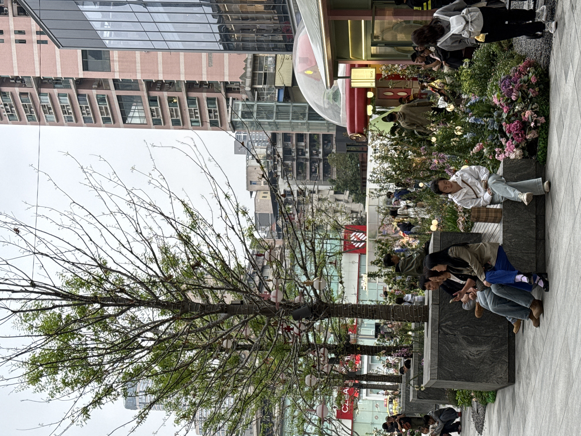 The image depicts a scene in Liangjiang, China, featuring a public square with a bare tree decorated with ornaments. A cluster of people is gathered near a floral display and benches, with some sitting and others standing. In the background, tall buildings are visible, reflecting the urban environment. The weather appears overcast.