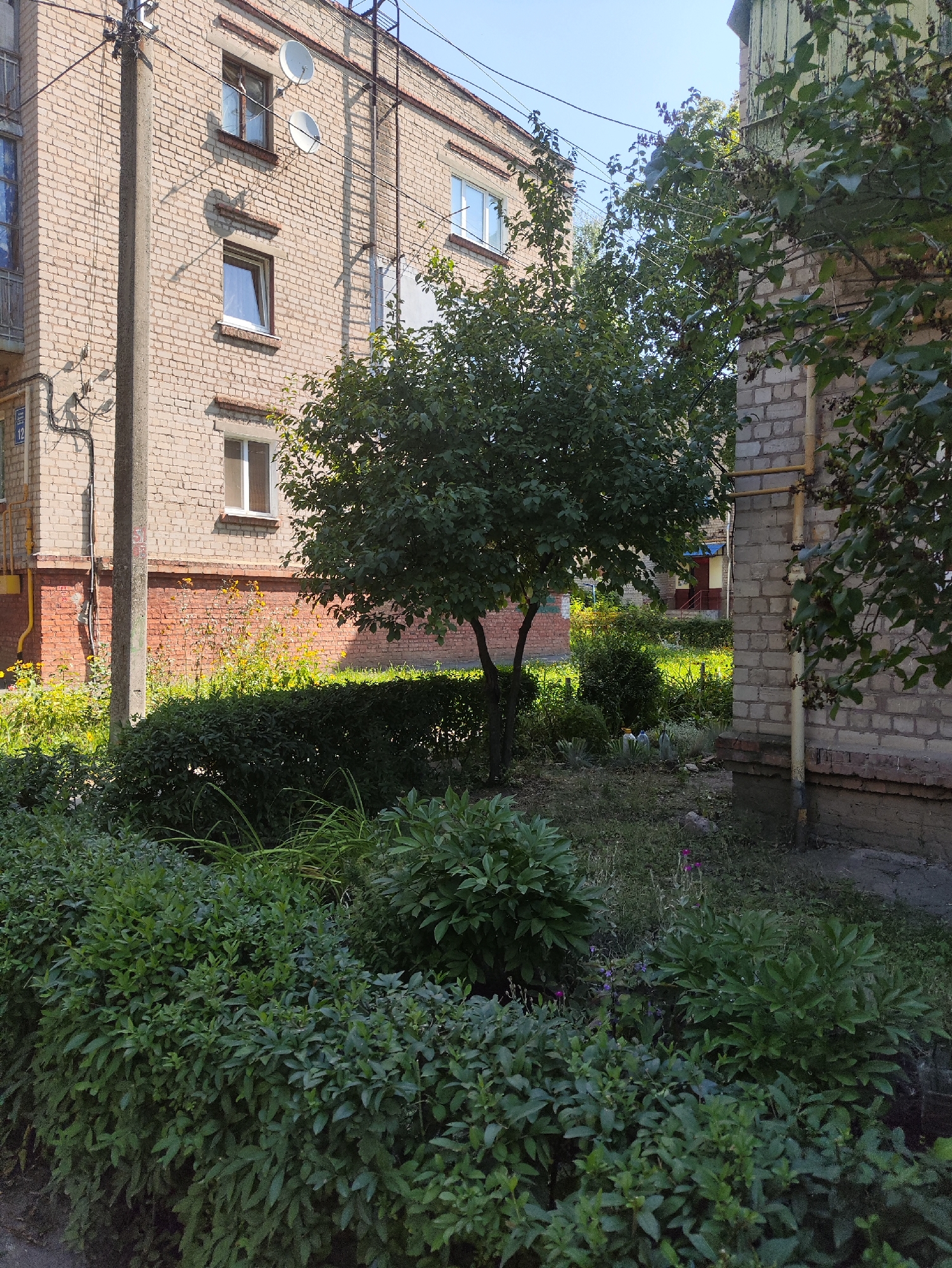 The image depicts an exterior view of a residential building and its surroundings in Kharkiv, Ukraine. The building, constructed of light-colored brick, features multiple windows, some with satellite dishes attached. A concrete utility pole stands in front of the building. The ground level is landscaped with various types of foliage, including dense green bushes, a small tree, and patches of grass with some yellow flowers. A yellow pipe runs vertically along the side of the building. The scene appears to be a common urban residential area, likely a courtyard or an area between apartment blocks. The sky is clear and blue, suggesting fair weather.