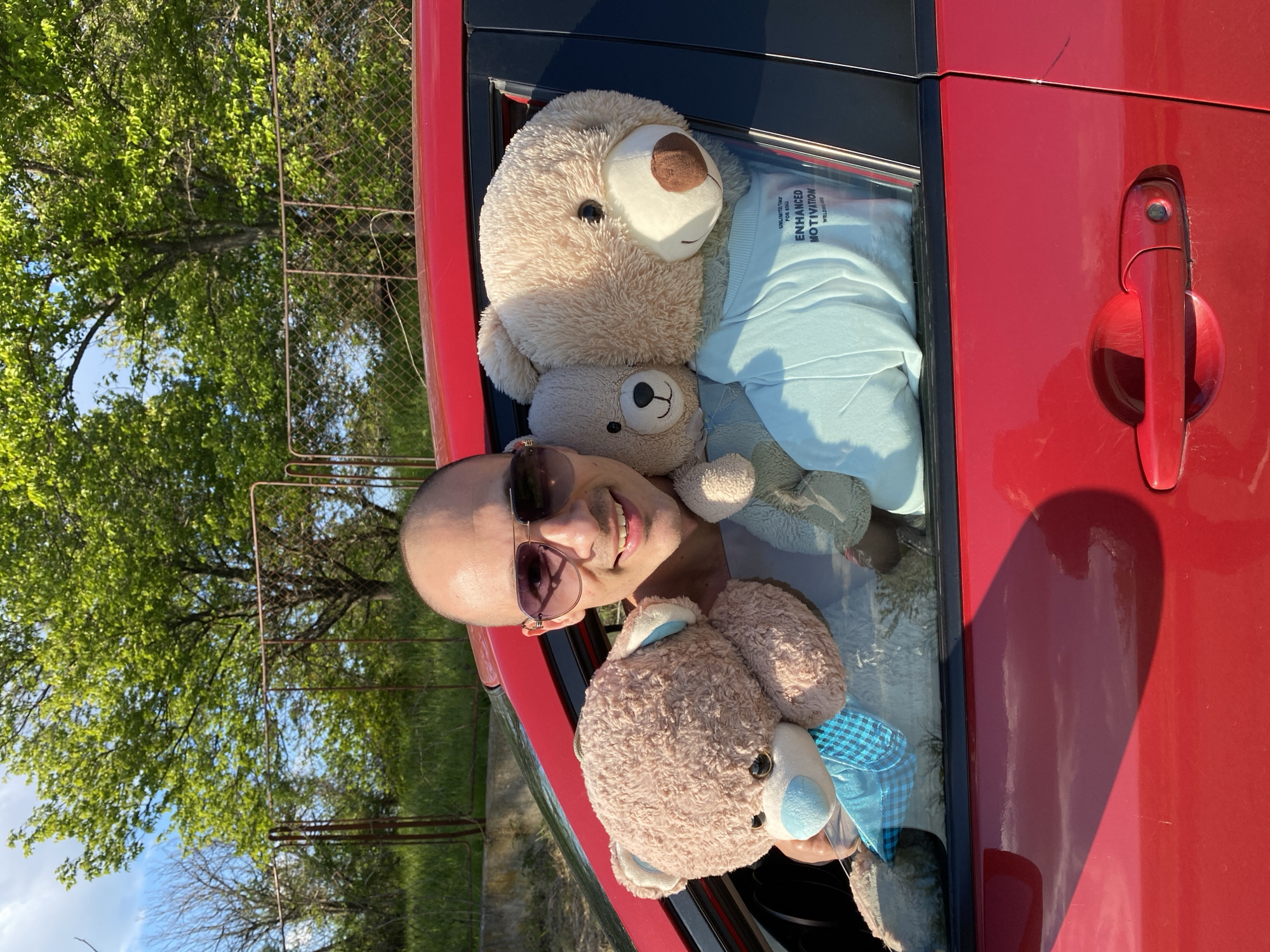 A person is leaning out of the open window of a red car, surrounded by several teddy bears. The person has a shaved head and is wearing sunglasses. The teddy bears are various sizes and colors, and some are wearing clothing. The background shows trees and a fence, suggesting a park or rural setting. It is daytime. No specific visual information indicates the location is Pleven, Bulgaria.