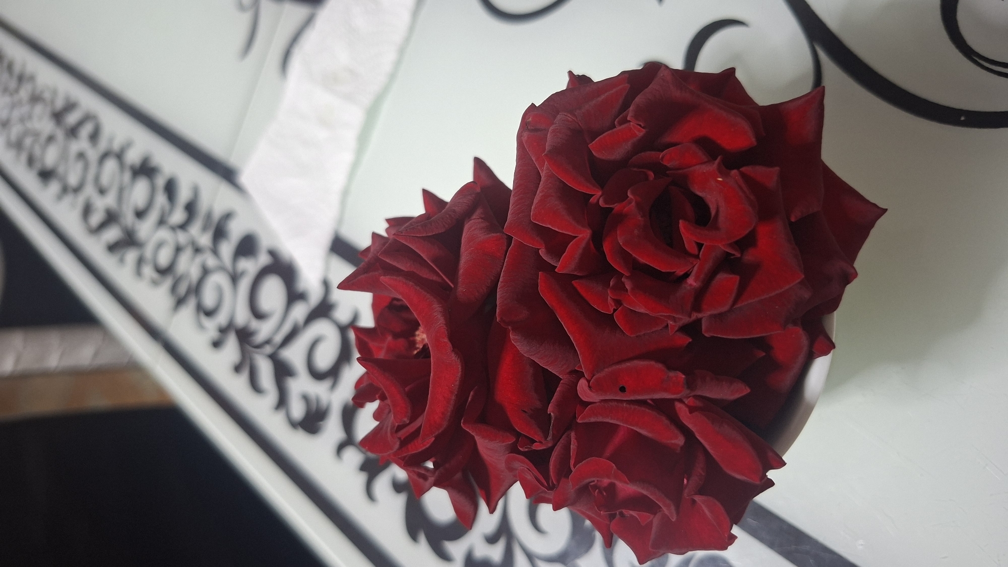 The image shows a close-up of several deep red roses in a white bowl. The roses have velvety petals and appear to be fully bloomed. They are placed on a light-colored surface with a decorative black and white pattern. A white paper object is visible in the background, slightly out of focus. The lighting suggests an indoor setting. The location is not determinable from the image itself.