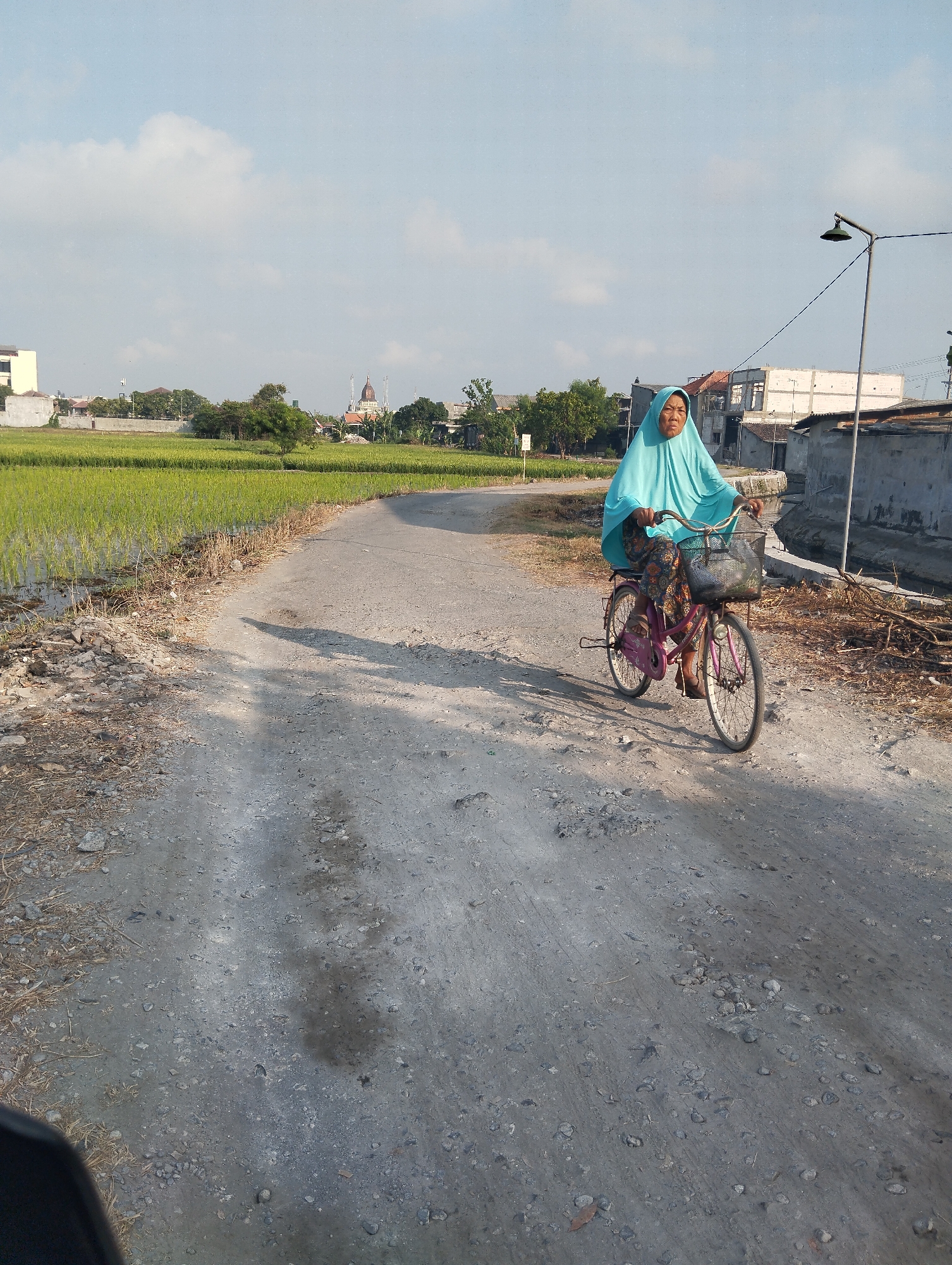An Indonesian woman wearing a blue hijab and patterned clothing rides a pink bicycle on a dirt road. The bicycle has a basket on the front. To the left of the road is a lush green rice field. In the background, there are buildings and a mosque with a dome. The sky is blue with some clouds. The scene appears to be in Sawotratap, Indonesia, a rural area characterized by agricultural land and residential buildings. The lighting suggests it is daytime, likely late afternoon due to the long shadows.