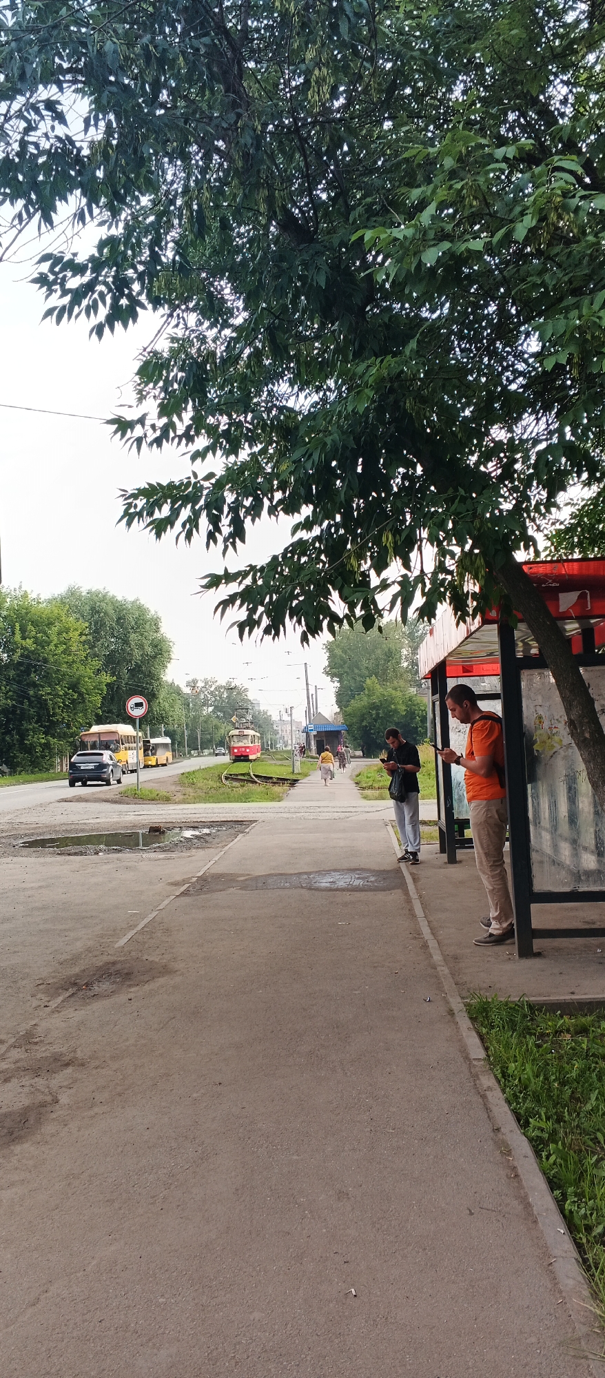 The image captures a street scene in Izhevsk, Russia, on a cloudy day. A prominent tree with dense green foliage dominates the foreground, its branches extending over a bus stop shelter with a red roof. Underneath the shelter, two men are standing, each engrossed in their mobile phones. One man, wearing an orange t-shirt and beige pants, is positioned further back, while the other, in a black shirt and light grey pants, stands closer to the camera.
Beyond the bus stop, a paved sidewalk runs alongside a road. Several vehicles are visible on the road, including a dark-colored car and two yellow buses. A red tram is also present on a set of tracks to the left of the sidewalk. In the background, more trees and buildings line the street, suggesting an urban or suburban environment. The road surface appears wet in places, with a puddle of water visible on the left side of the image. A circular road sign with a red border and a symbol of a truck inside is also visible on the left side of the road. The overall impression is a typical everyday moment at a public transport stop in a Russian city.