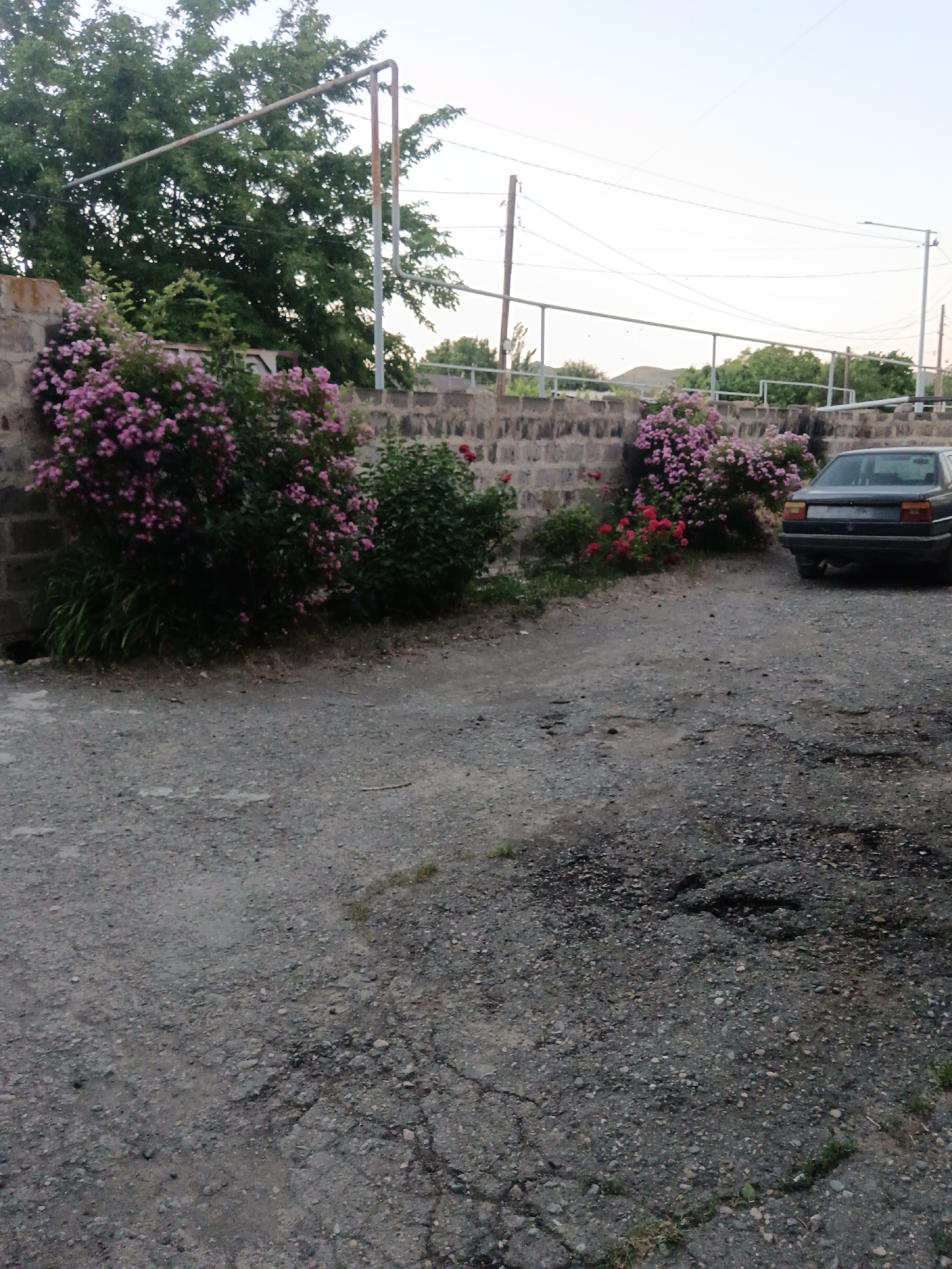 The image depicts an outdoor scene with a gravelly ground surface in the foreground. A dark-colored sedan is parked on the right side of the frame. Behind the car and to the left, a low brick wall runs horizontally. Lush green foliage and blooming pink flowers are visible growing along and over the wall. In the upper left corner, a large tree with dark green leaves is present, and a metal structure, possibly a pipe or support, extends across the frame. Overhead, electrical wires are strung between poles, suggesting an urban or semi-urban environment. The sky is clear and pale. The scene is consistent with an outdoor area in Aragatsavan, Armenia, given the typical landscape and vegetation found in the region. No people are visible in the image.