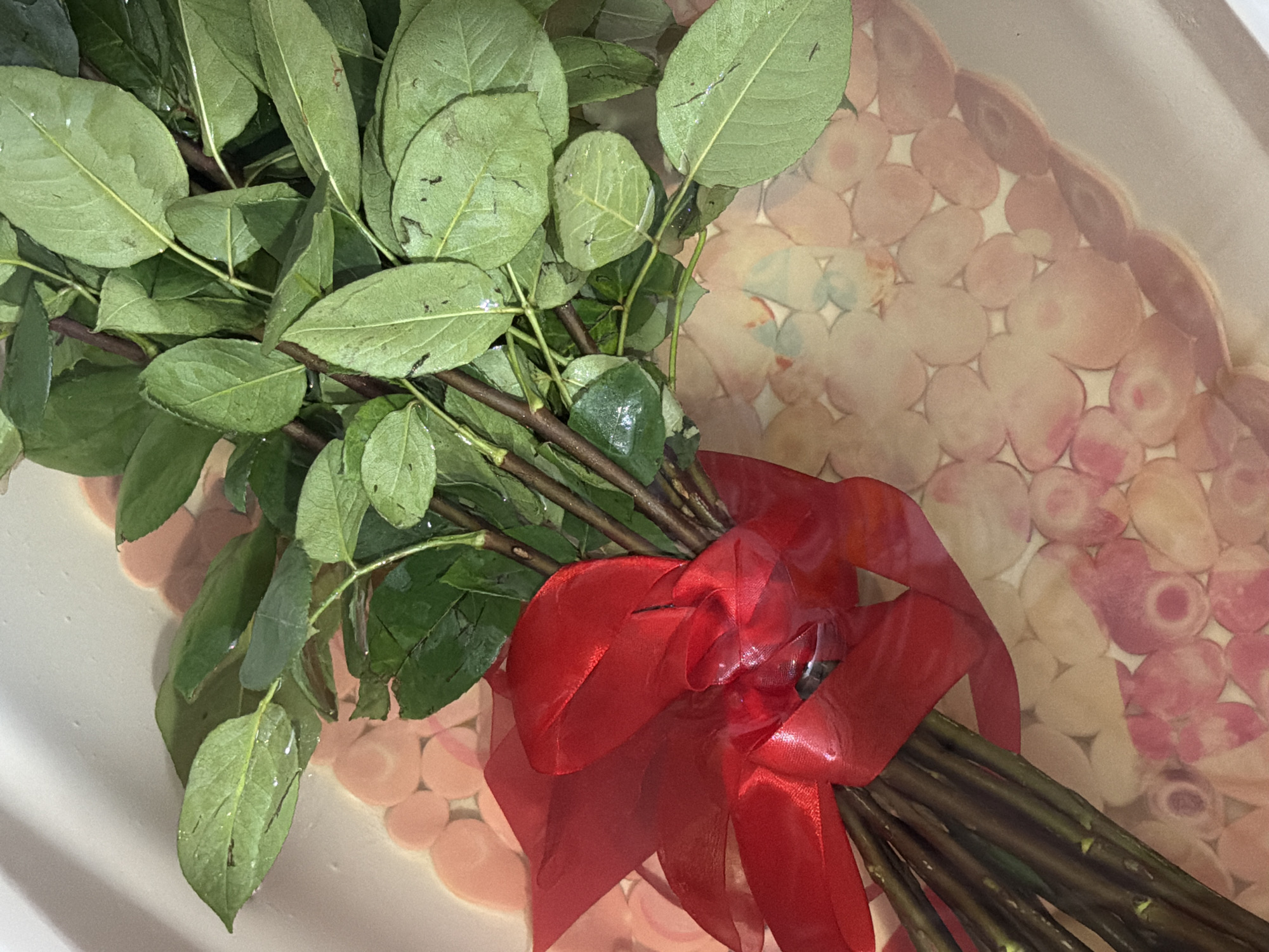 A bouquet of leafy branches tied with a red ribbon sits in a container. The leaves are green and oval-shaped. The stems are brown. The background of the container has a pattern of stylized pink and white ovals. There is no evidence to determine the location is in the city of Chaikovsky, Russia.