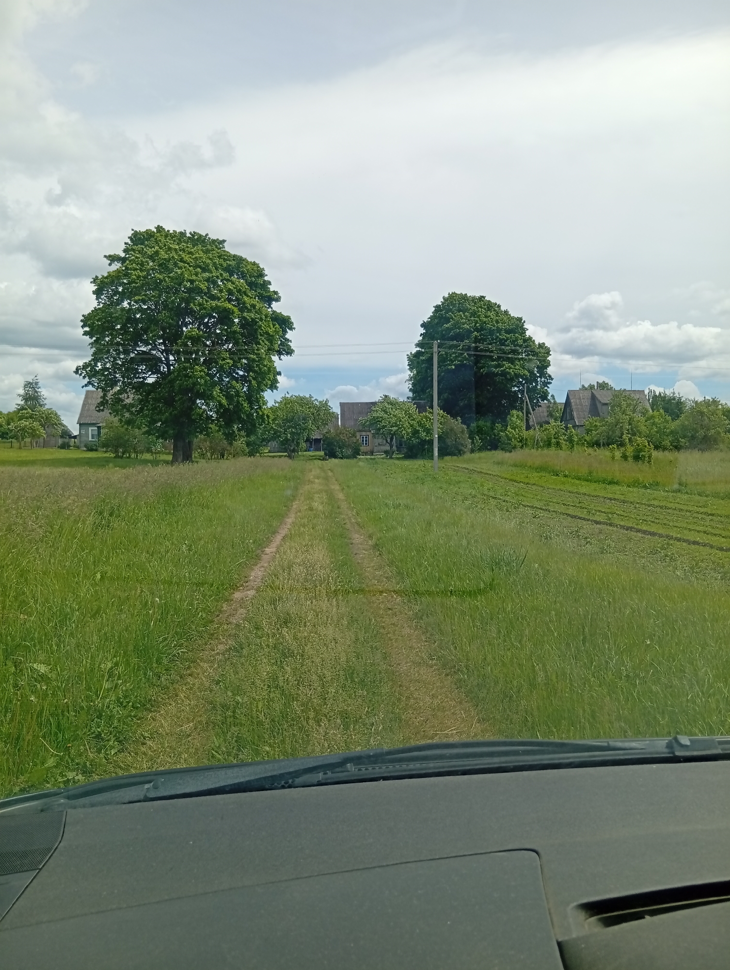 An eye-level, outdoor, full shot shows a dirt road leading through a grassy field with houses in the background. The day is overcast with clouds. On the left, a large, leafy green tree stands tall. The dirt road, with visible tire tracks, continues into the distance, flanked by tall grass on both sides. To the right of the road, a field of crops is visible, with distinct rows. Several houses with grey, sloped roofs and wooden exteriors are scattered among trees in the background, suggesting a rural setting. The image appears to be taken from inside a vehicle, with the dashboard visible in the foreground.