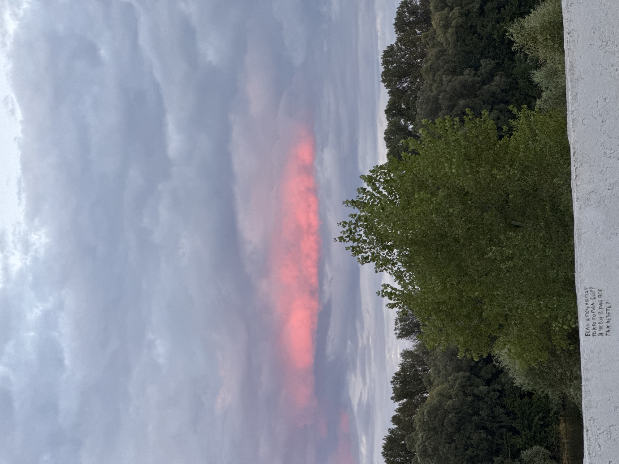The image depicts a cloudy sky with a prominent horizontal band of pink-tinted clouds stretching across the frame. Below the sky, a dense line of dark green trees forms a backdrop, with a lighter green, more densely foliated tree in the foreground on the right. In the lower portion of the image, a white concrete wall is visible, bearing handwritten graffiti in black. The graffiti appears to be in Cyrillic script. The scene suggests an outdoor setting, possibly a park or a riverside, given the trees and the hint of water on the far left. The location is Ufa, Russia.