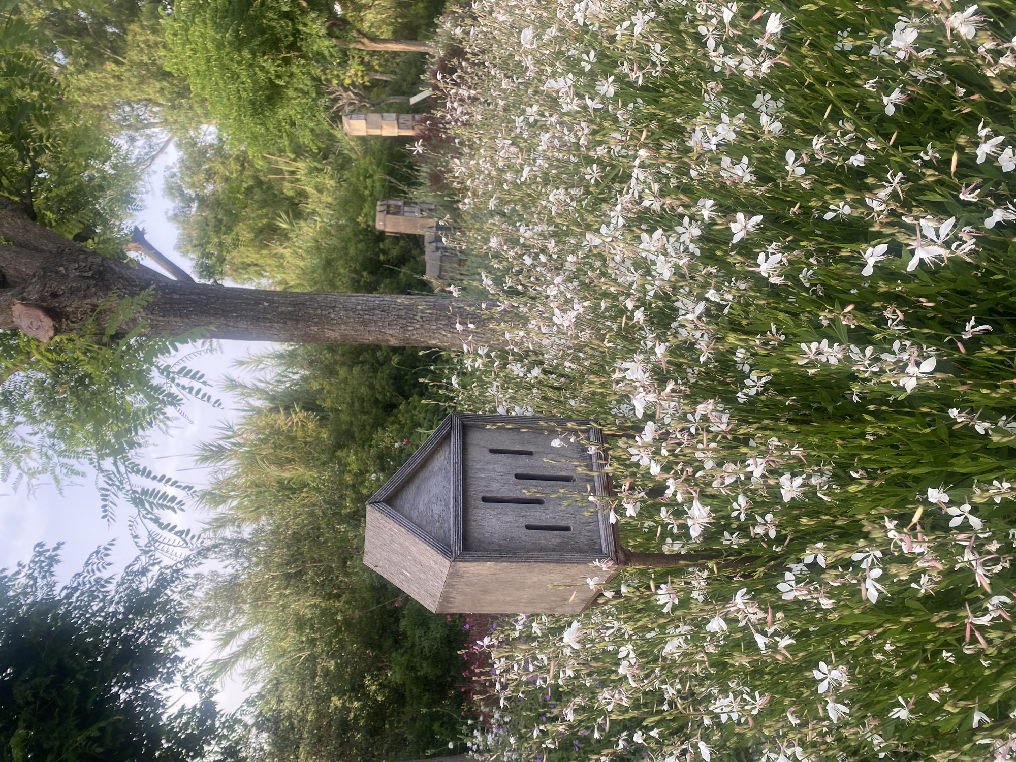 This is a medium shot of a handmade wooden insect hotel in a garden setting. The insect hotel is a simple, house-shaped structure made of weathered gray wood, with a pointed roof and several narrow vertical openings on its front. It is mounted on a thin metal pole. The hotel is surrounded by a dense field of small white flowers with delicate pink accents, which are in bloom. The background consists of lush green foliage, including trees and bushes, and a large tree trunk is visible to the right of the insect hotel. In the far background, there are some stone structures that appear to be decorative or part of a wall. The sky is visible above the trees, with a pale, overcast appearance. The overall impression is of a peaceful, natural environment, likely a garden designed to attract pollinators. There are no people or animals visible in the image. The scene is located in the city of Resinera-voladilla, Spain.