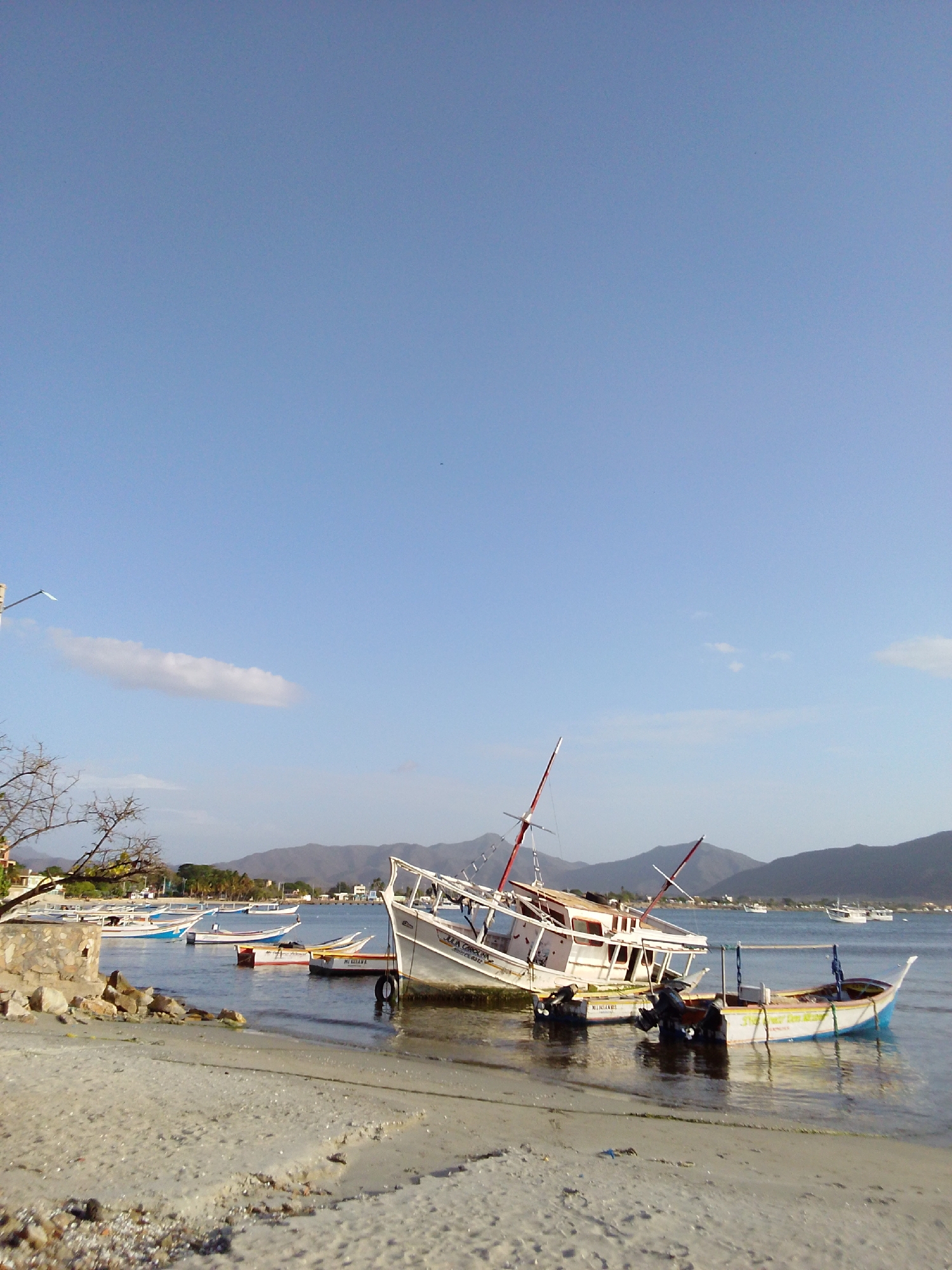 This image depicts a tranquil coastal scene on a bright, clear day. In the foreground, a sandy beach slopes gently down to calm, shallow water. Sparse dry vegetation and rocks are visible on the left side of the shore.
Several boats are the primary subjects. Centered in the mid-ground, a large white wooden boat, possibly a fishing vessel, leans significantly to its right side, partially submerged in the water. The name "JULIA CAROLINA" and the identifier "CU-0322" are visible on its hull. Its mast and internal structure are prominent. To the right of this large boat, a smaller, lighter-colored boat with a blue trim floats, equipped with an outboard motor. This boat features the names "JESUS MIS LIOS" and "JESUS ES LA VIDA" painted on its side. Another smaller boat, partially obscured behind the main leaning boat, has text that appears to read "M.C. LEVINE" and "CU 0127". Further into the bay, numerous other fishing boats are scattered across the water, indicating a working waterfront or mooring area.
The background features a range of distant mountains, appearing hazy and blue-gray, under a vast, clear blue sky. A single elongated white cloud is visible in the upper left quadrant of the sky. A bare tree branch and a light pole are partially visible on the left edge of the image. The lighting suggests it is daytime, likely late morning or early afternoon, with calm weather. No people are visible in the scene.
