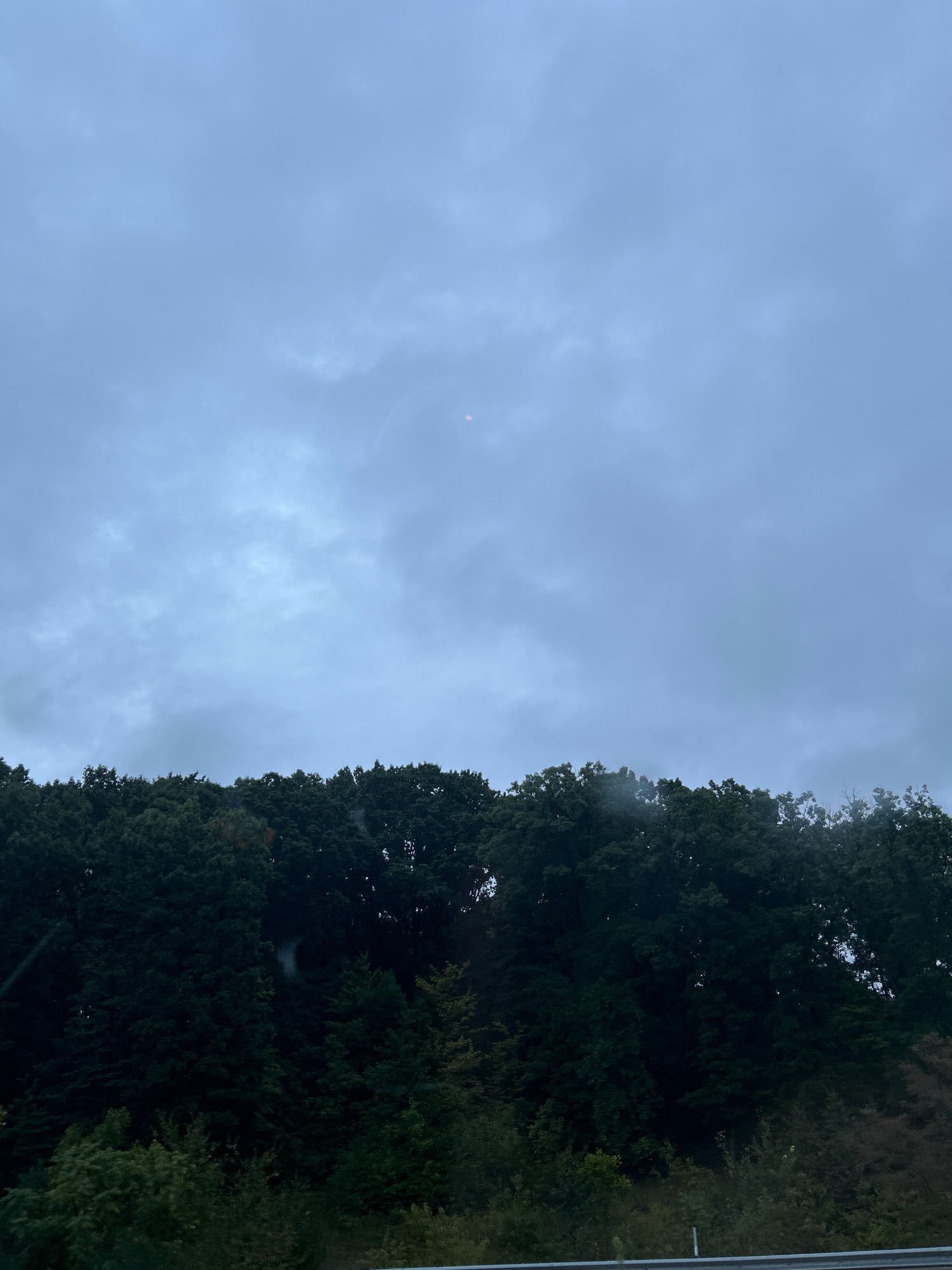 The image shows a dark, overcast sky above a dense line of trees. The trees are mostly dark green, with some lighter green foliage visible towards the bottom of the image. The sky is a pale blue-gray, with some lighter patches and wispy clouds. There is a faint, circular light artifact visible in the upper right quadrant of the sky. A metal railing or guardrail is visible along the bottom edge of the image, suggesting the photo was taken from a roadside or elevated position. No people or animals are visible in the scene. The environment appears to be a wooded hillside.