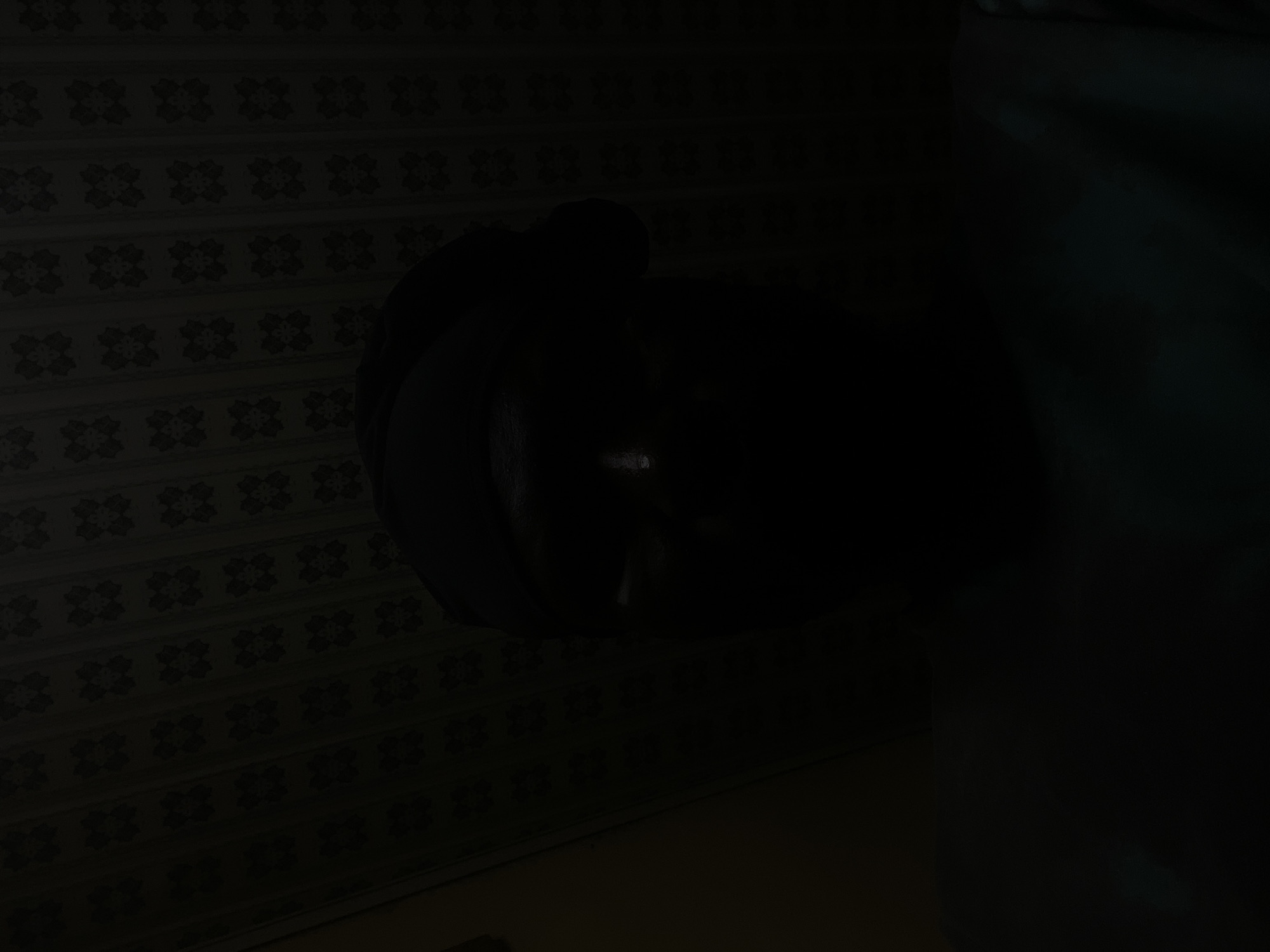 A dark, low-light image shows a backpack resting on a surface with a patterned wall in the background. The location and city are not discernible.