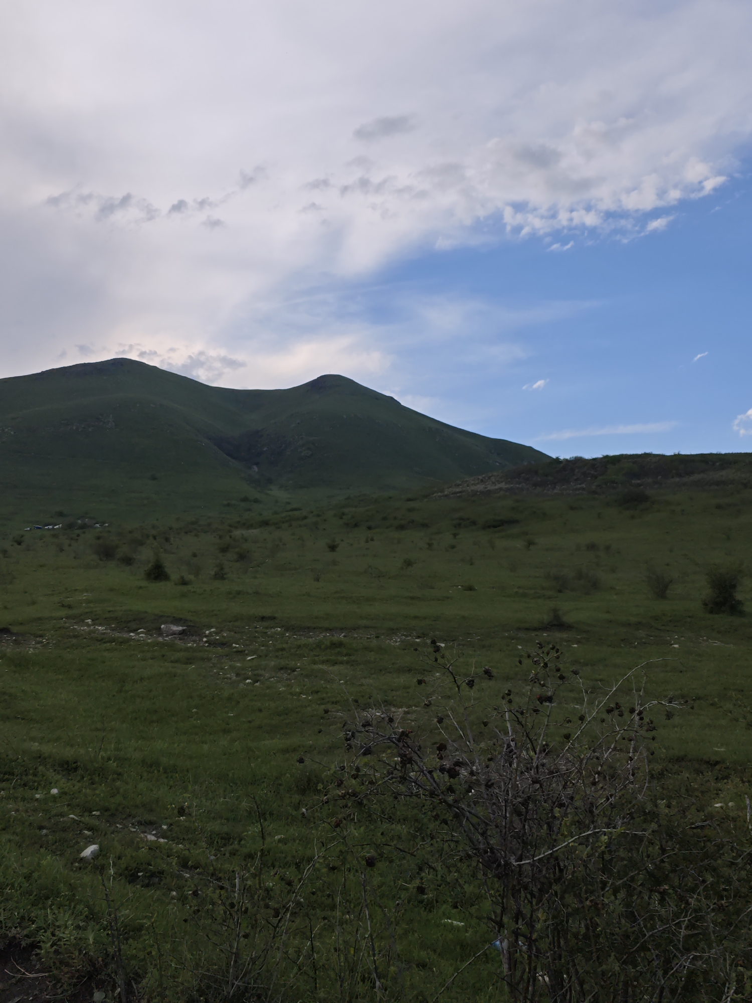 The image shows a green, grassy landscape with two prominent, gently sloping mountains in the background. The sky is partially cloudy, with blue patches visible. In the foreground, there is a small, dry shrub. In the distance, near the base of the mountains, there are some indistinguishable small, possibly man-made objects, which might be tents or vehicles.
The location is identified as Etoka, Russia.