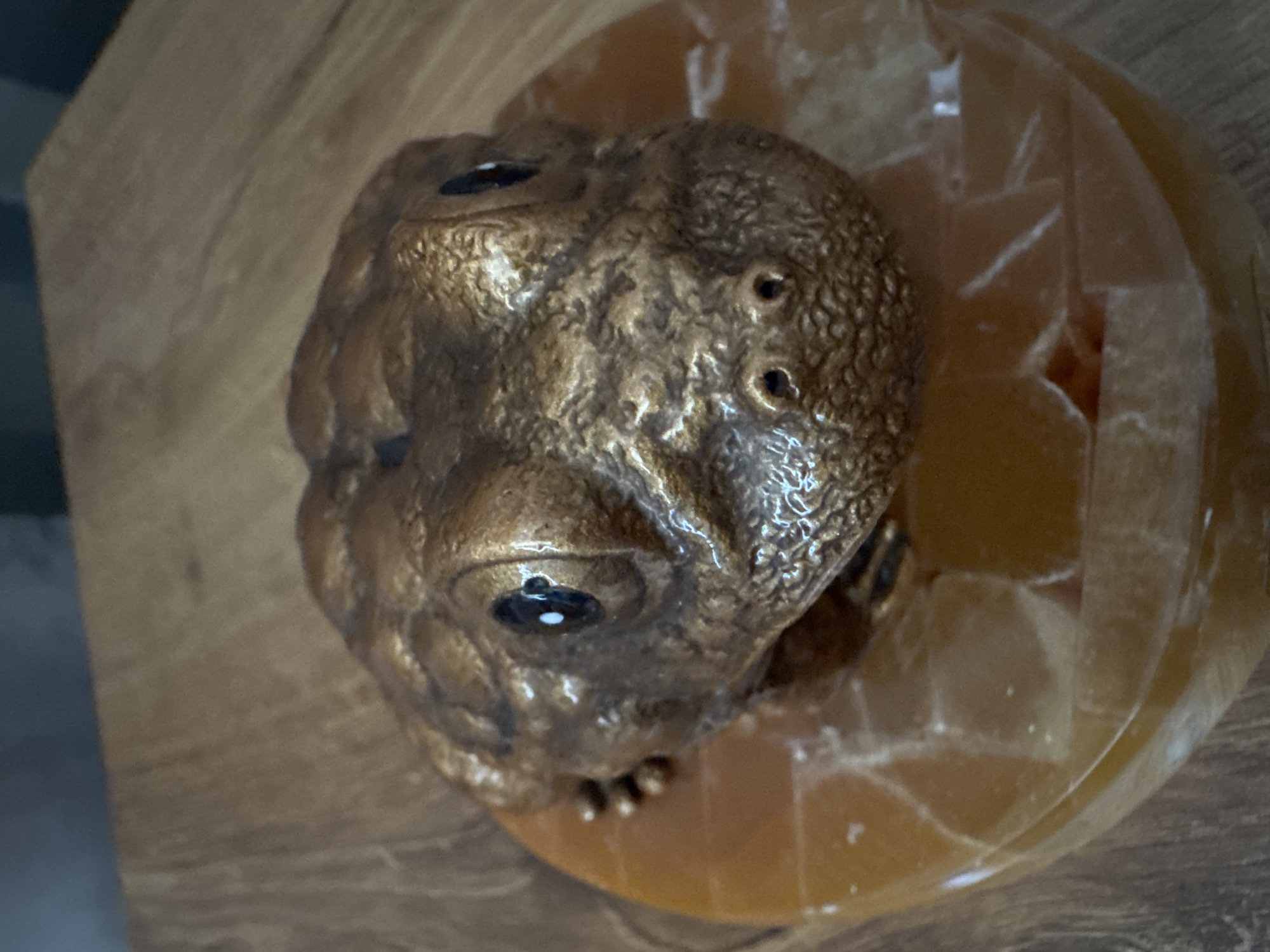 The image shows a close-up, eye-level view of a bronze-colored figurine of a toad. The toad is positioned on top of a translucent, orange, multifaceted base, which appears to be made of polished stone or glass. The toad figurine has detailed skin texture, prominent bulging eyes with black pupils and a white highlight, and small nostrils. Its legs are visible at the side of its head. The base is resting on a wooden surface, likely a table, with a visible wood grain pattern. The background is softly blurred, showing dark and light areas that suggest an indoor environment. There is no indication of the city of Солонешное, Russia, or any other specific location.