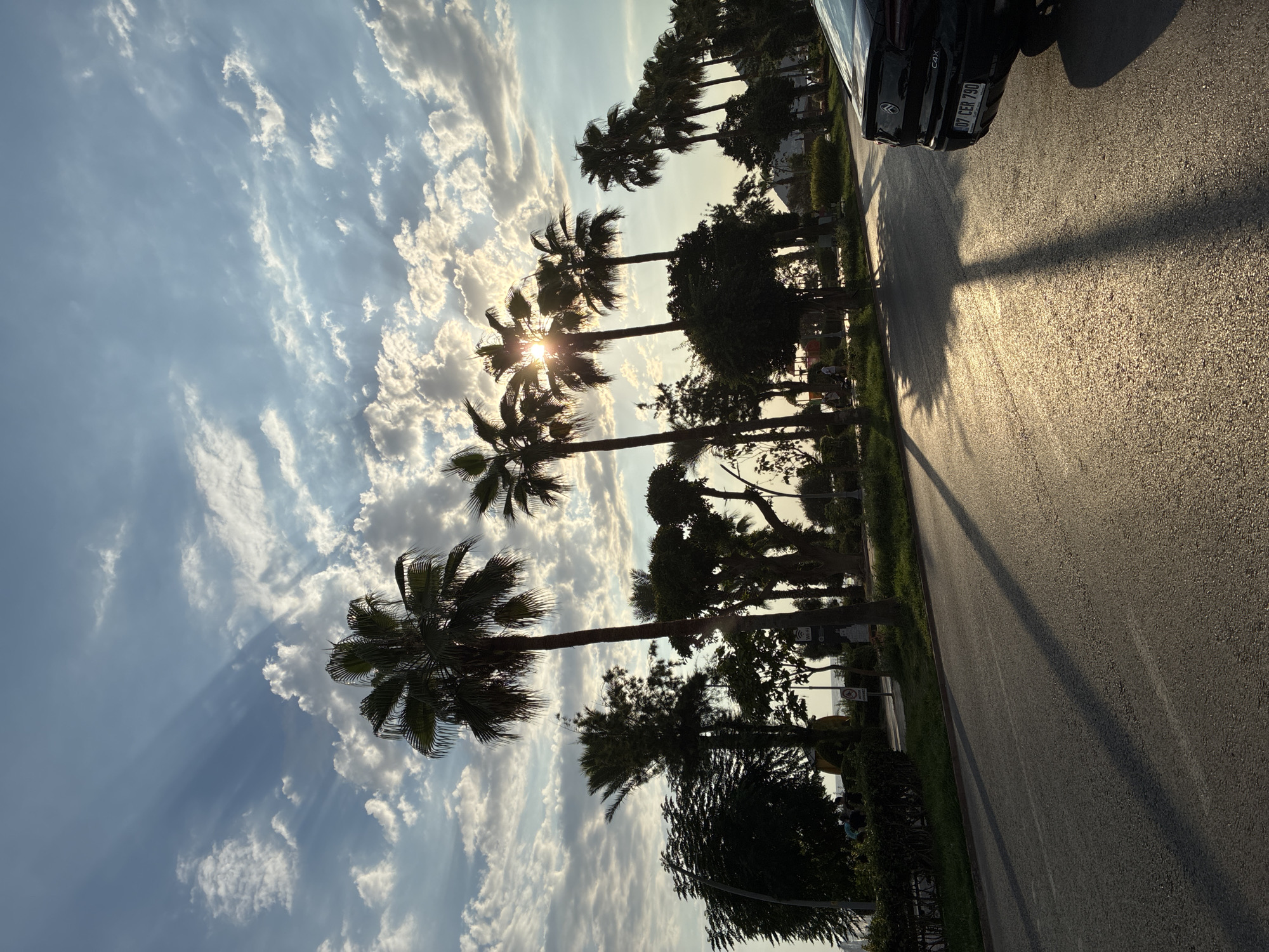 The image captures a street scene in Alanya, Turkey, likely during late afternoon or early evening given the long shadows cast by the palm trees and the warm, golden light filtering through the clouds. In the foreground, a paved road stretches out, its surface textured and reflecting the sunlight. To the right, the rear of a dark-colored car is visible, with its license plate reading "07 CER 790." Beyond the road, a green verge is lined with a variety of trees and palm trees. The sun is partially obscured by the fronds of a prominent palm tree, creating a sunburst effect and casting long, distinct shadows across the road. The sky above is a blend of blue and white, with wispy clouds and sunbeams radiating outwards. A faint hint of the sea or a body of water can be seen in the distance beyond the trees. The overall impression is one of a peaceful, sun-drenched street, characteristic of a Mediterranean coastal city.