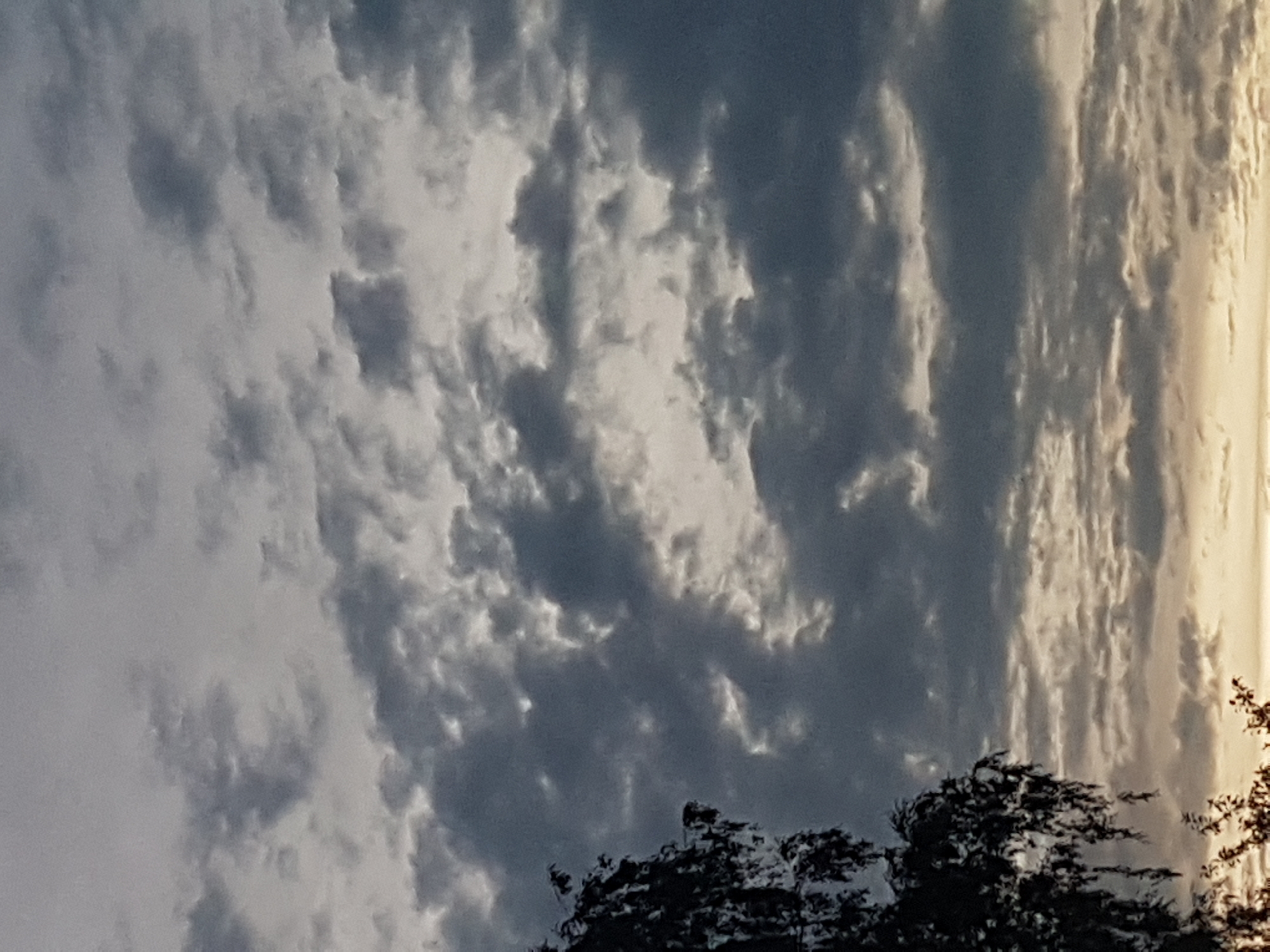 The image shows a sky filled with a variety of clouds. The clouds are mostly dark gray and white, with some areas appearing lighter due to the sun shining through. A portion of a dark tree with leaves is visible on the left side of the image, silhouetted against the sky. The bottom of the image reveals a sliver of a bright, yellowish-orange horizon, suggesting either sunrise or sunset. The overall impression is a cloudy, atmospheric sky.