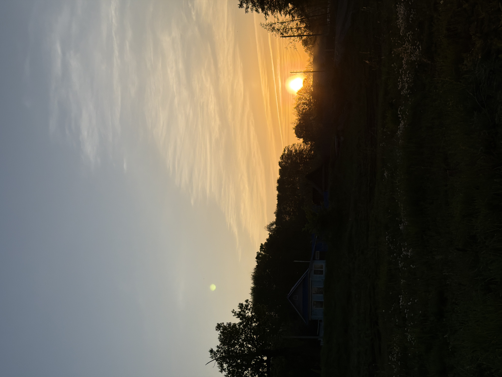 The image depicts a landscape at sunrise. The sky transitions from light blue to orange, with long, thin clouds streaking across the horizon. The sun is visible, partially obscured by trees. Below the horizon, a line of trees and possibly a building are silhouetted against the light. The foreground is dark, with grass and vegetation. The photograph appears to be taken at the location of Noviy, Russia.