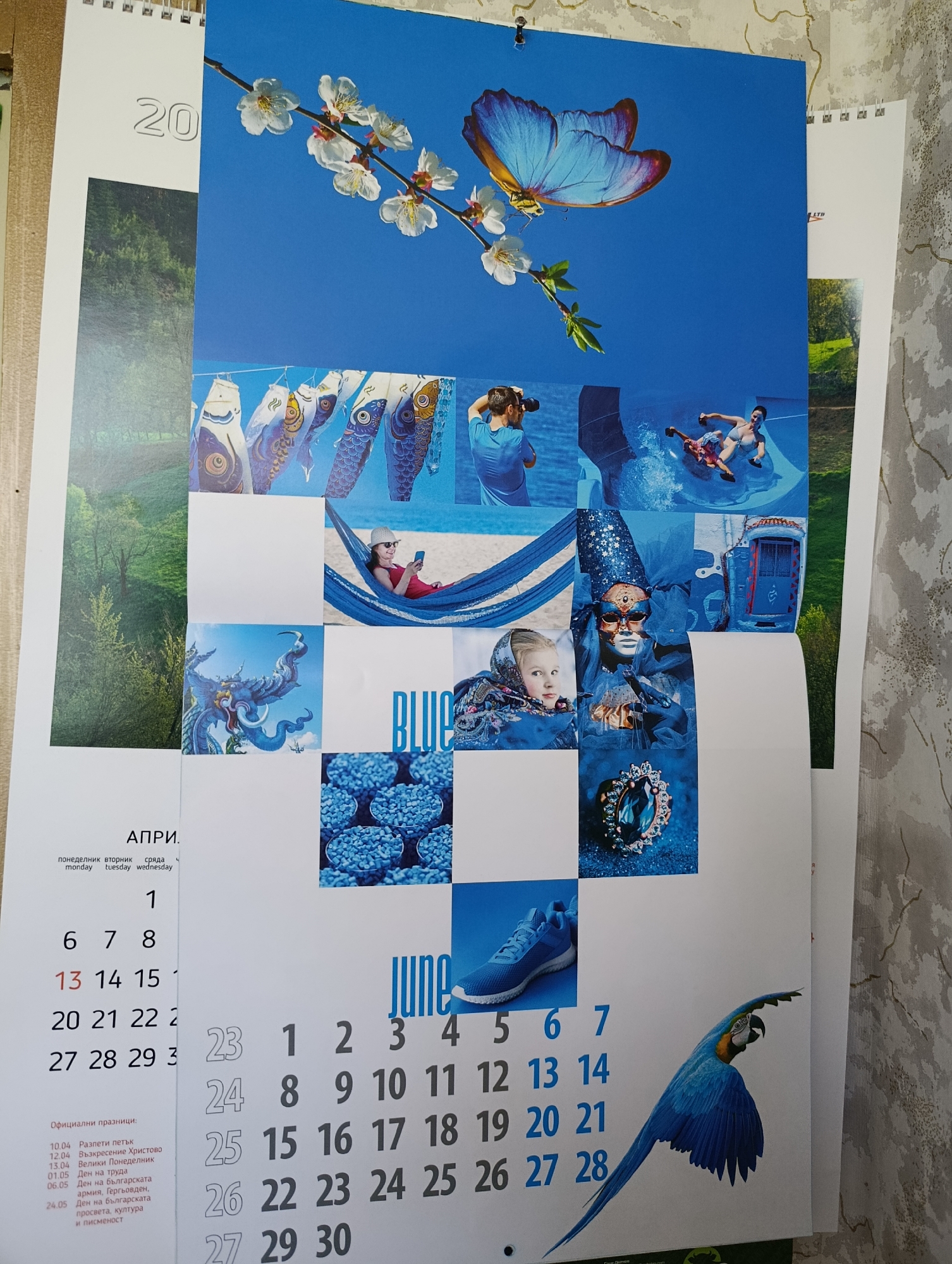 The image shows a calendar page. The calendar is open to two months, April and June. The April calendar section is on the left, and it is partially obscured by the June calendar section on the right. The April calendar has the word "АПРИ." (April in Bulgarian) at the top and displays the days of the week in Bulgarian and English. The days of the week are listed as "понеделник" (monday), "вторник" (tuesday), "сряда" (wednesday). The numbers 1 through 30 are listed in a grid format for April. Below the calendar grid, there is a list of Bulgarian holidays.
The June calendar section is larger and displays the month name "June" in large blue letters. The days of the week are not visible, but the numbers 1 through 30 are presented in a grid. The numbers in the June calendar are colored blue.
The background of the calendar features a collage of blue-themed images. These images include a close-up of a blue butterfly on a branch with white flowers against a bright blue sky, a series of Japanese carp streamers (koinobori), people in a pool or water slide, a woman relaxing in a hammock on a beach, a detailed blue dragon-like sculpture, a person wearing a colorful mask and hat, a blue doorway, a close-up of blue granules in bowls, a woman's face with a headscarf, a blue athletic shoe, and a blue and yellow macaw in flight.
The image is a close-up photograph taken from a slightly elevated angle. The lighting is natural, and there are no visible shadows indicating a direct light source. The overall tone is bright and colorful due to the blue theme of the collage images. There is no discernible information within the image that would allow for the determination of a specific location in Razgrad, Bulgaria, or any other city.
