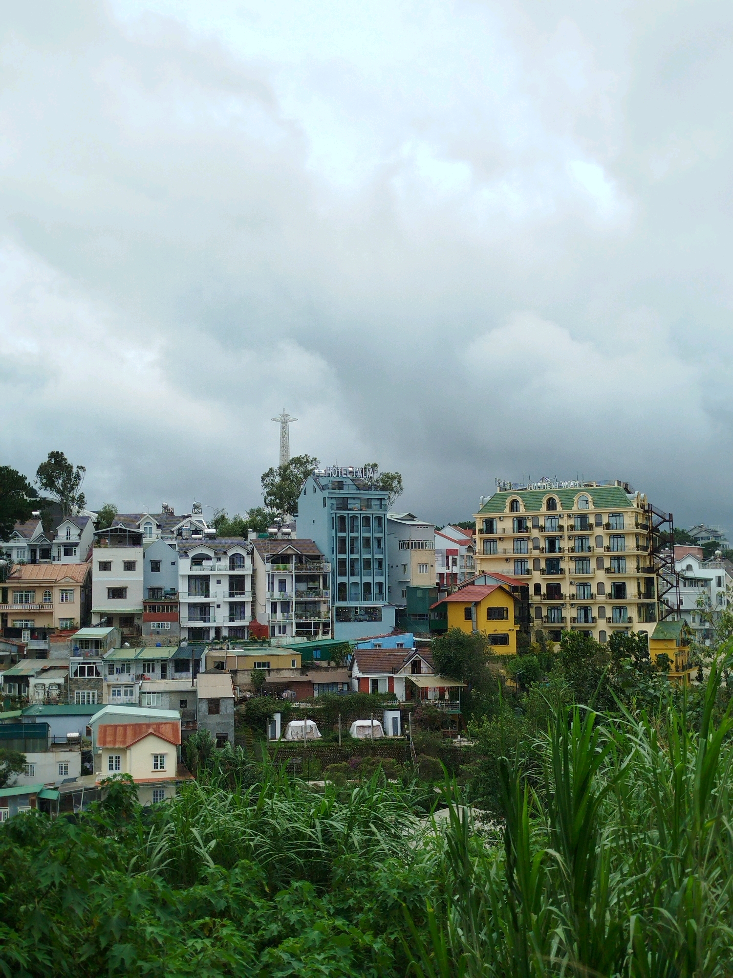 A dense, hillside city skyline in Da Lat, Vietnam, is viewed under a cloudy sky. The buildings, a mix of residential homes and hotels, are clustered together, with some appearing to be built on steep inclines. Tall, leafy green foliage dominates the foreground, partially obscuring the lower portions of the buildings. In the middle ground, a series of multi-story buildings, many with balconies and varying architectural styles, ascend the hill. A prominent, tall, light-colored hotel with a green roof, featuring numerous windows and balconies, stands out. In the far distance, a tall, lattice-like tower structure rises above the cityscape. The overall impression is one of a vibrant, densely populated urban environment nestled within a lush, natural landscape, under a moody, overcast sky.