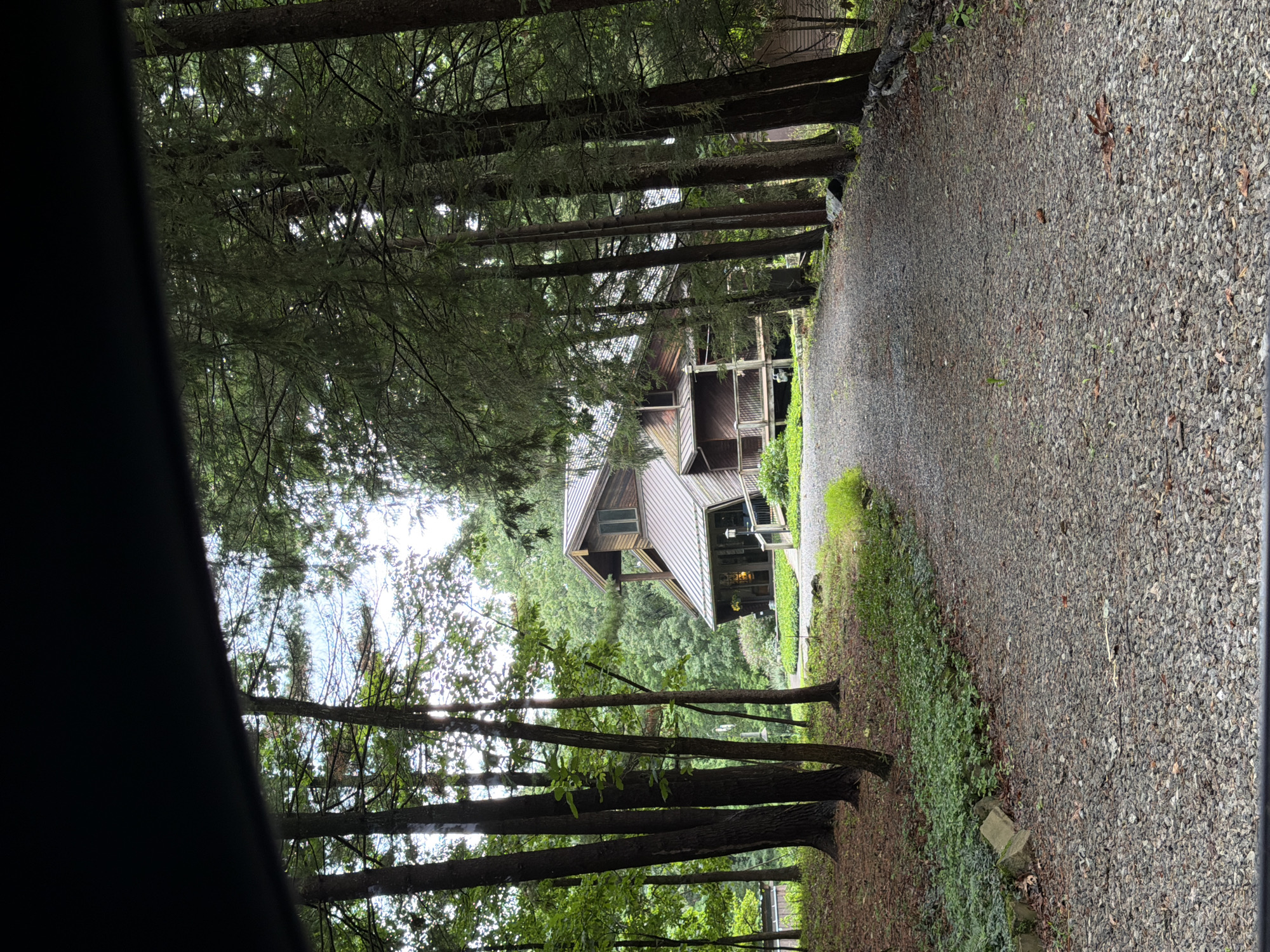 The image shows a view of a rustic wooden house nestled within a dense forest, accessed by a gravel driveway. The house features a distinctive angular roofline and multiple levels, with a porch area visible. Tall evergreen trees dominate the foreground and sides of the image, creating a sense of enclosure and seclusion. Sunlight filters through the trees, dappling the driveway and the forest floor. The ground is covered in gravel, with patches of green undergrowth and fallen leaves scattered throughout. The overall impression is one of a secluded, wooded property. The location is identified as Wexford, United States of America.