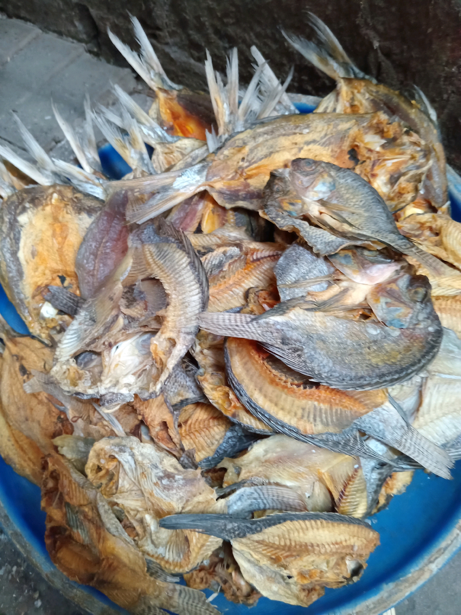 The image shows a close-up, overhead view of a large pile of dried fish, likely tilapia, packed tightly into a blue plastic tub. The fish vary in size and color, with most appearing golden brown and desiccated. Some are whole, while others are partially opened, revealing their skeletal structure. Their fins and tails are spread outwards, creating a textured, layered effect. The background is dark and out of focus, suggesting an outdoor or dimly lit environment. There are no people visible in the image. The scene suggests a marketplace or food preparation area, possibly in Pekelingan, Indonesia, given the context.